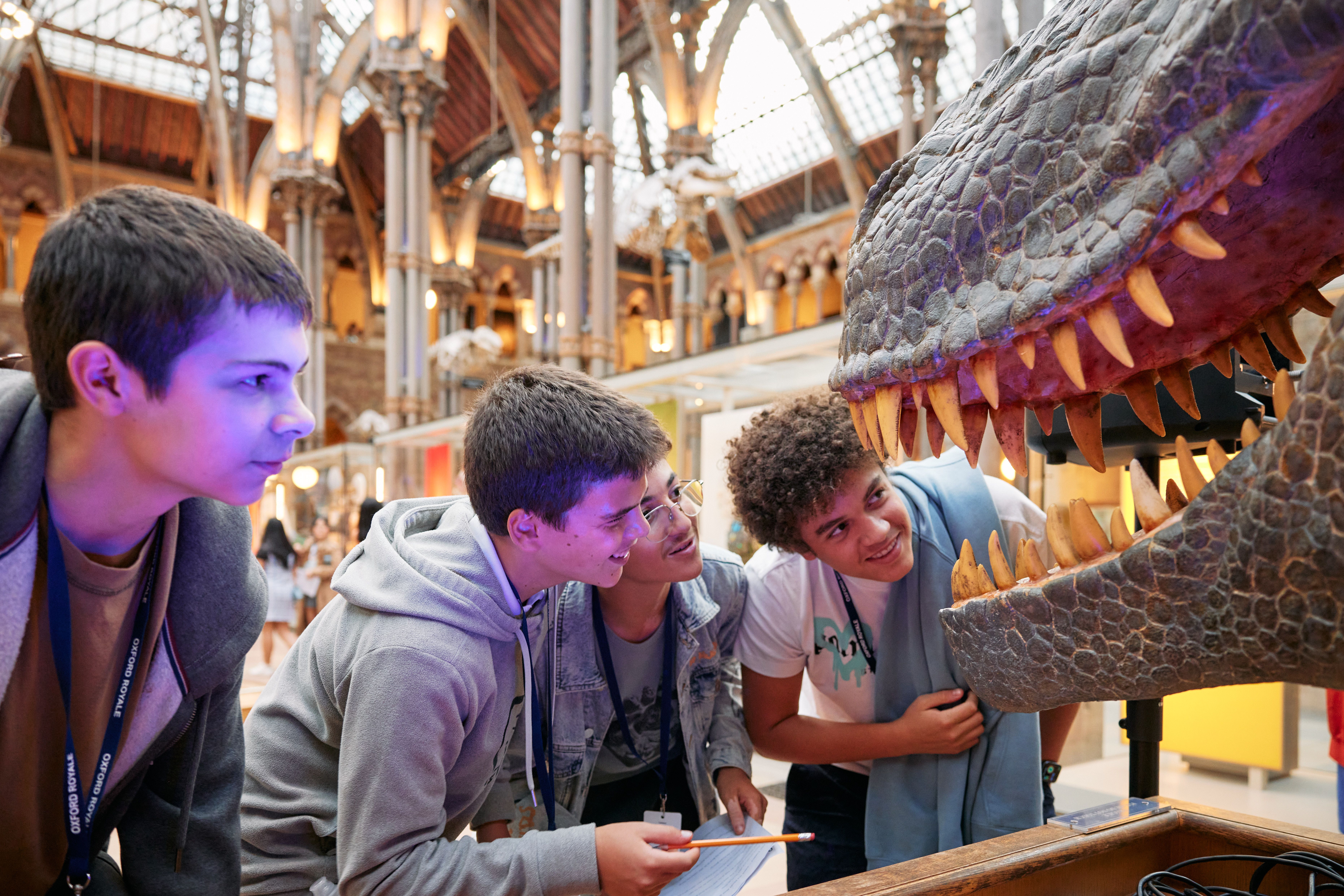 The Natural History Museum