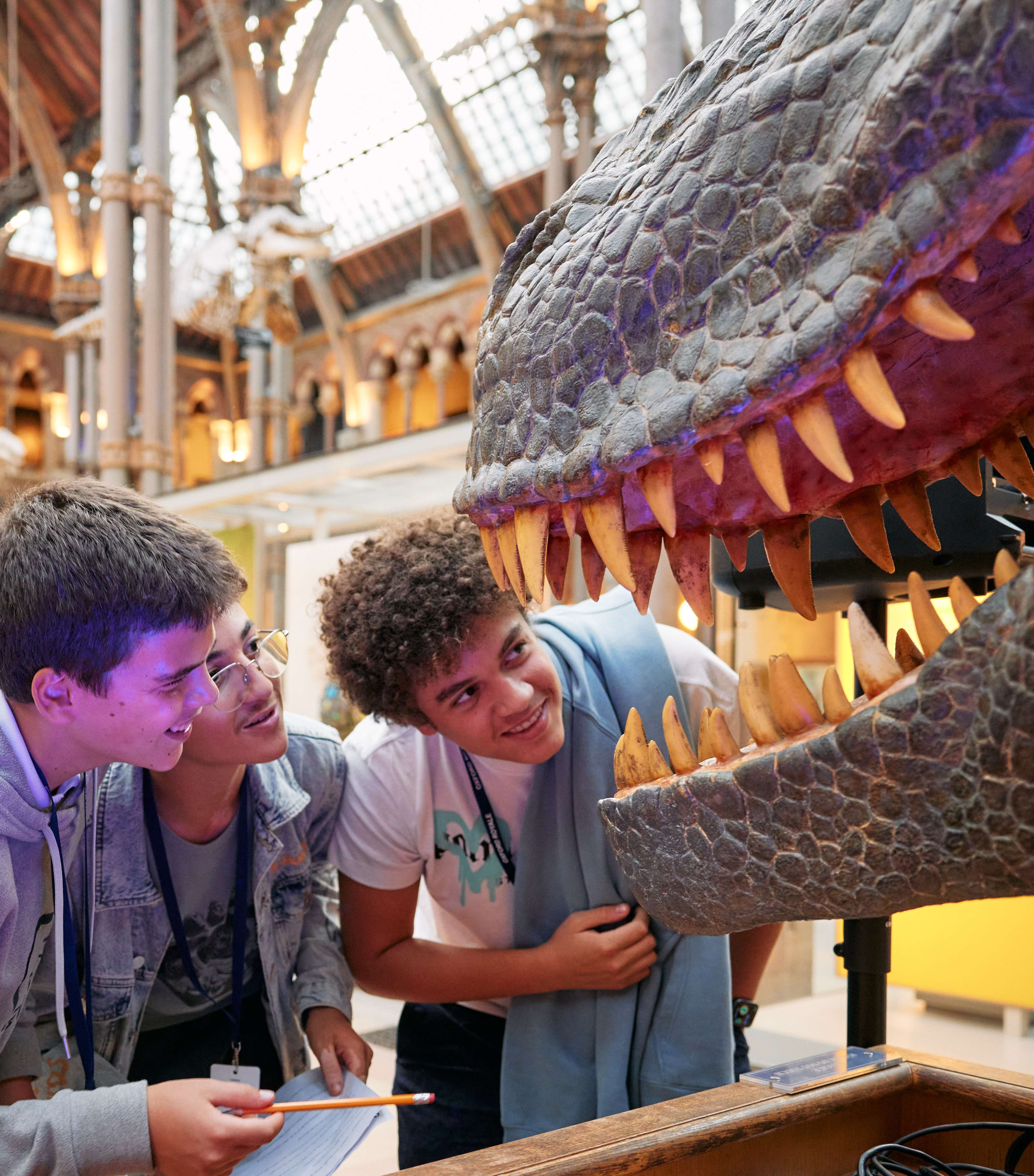 The Natural History Museum