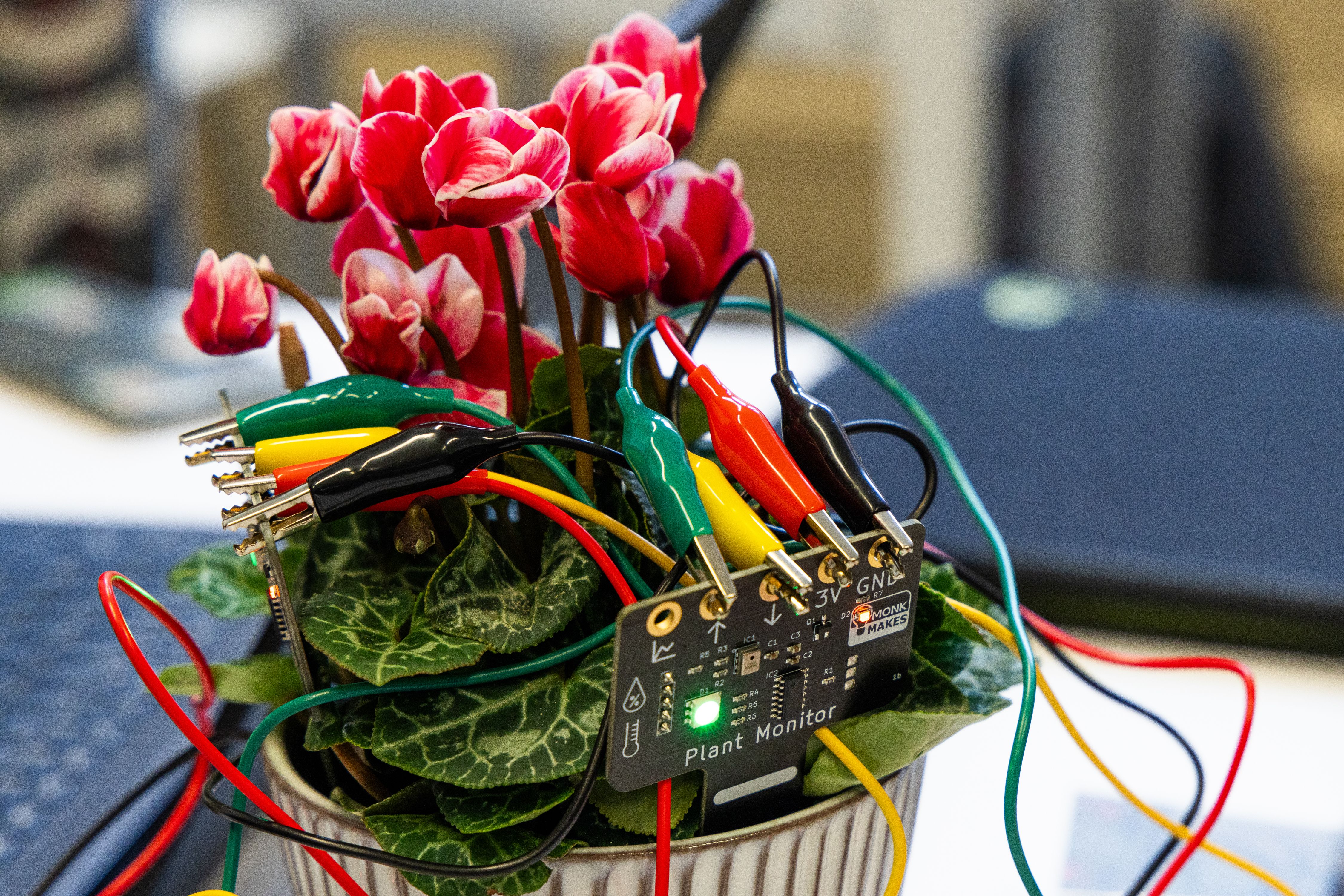 Guest speaker Oxford Royale