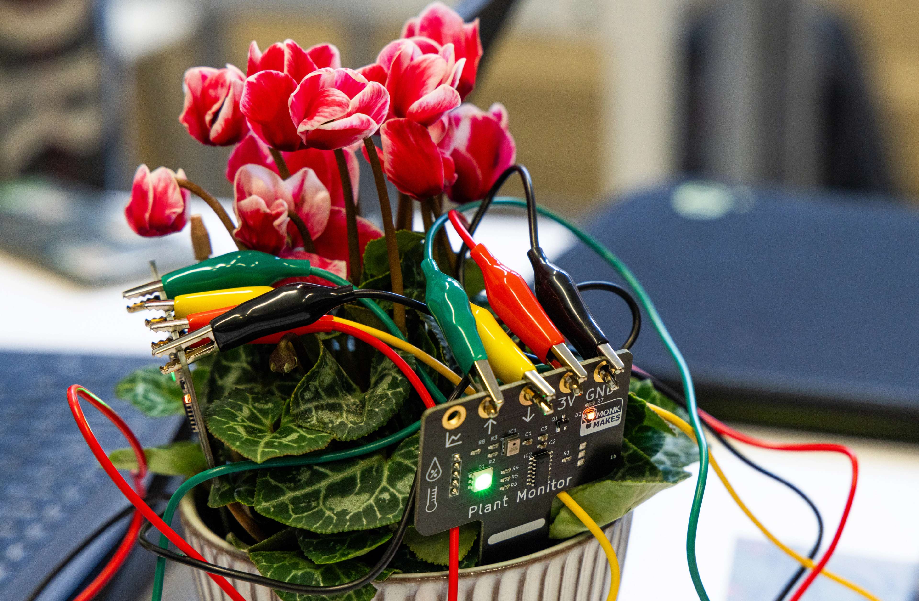 Guest speaker Oxford Royale