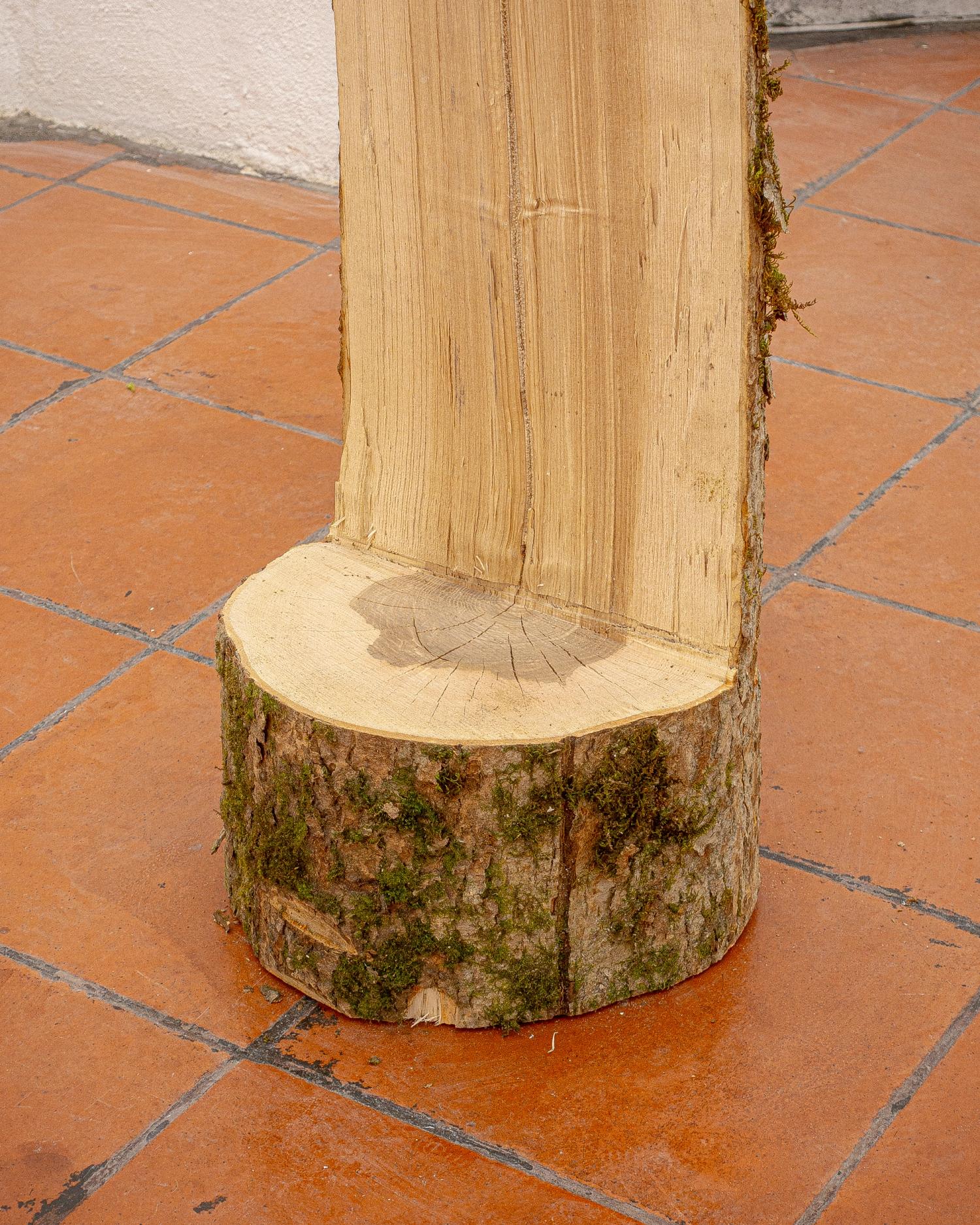 Prekestol (barber chair tree)