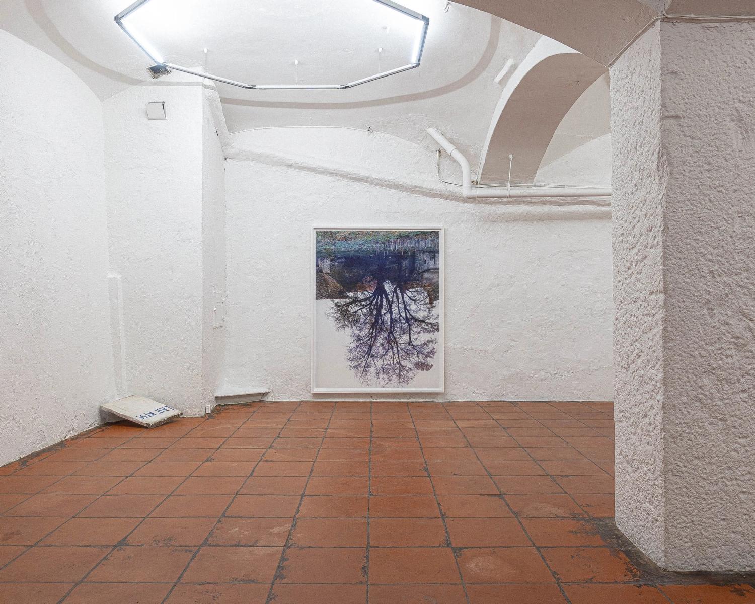 Overview image: Himmelen og treet