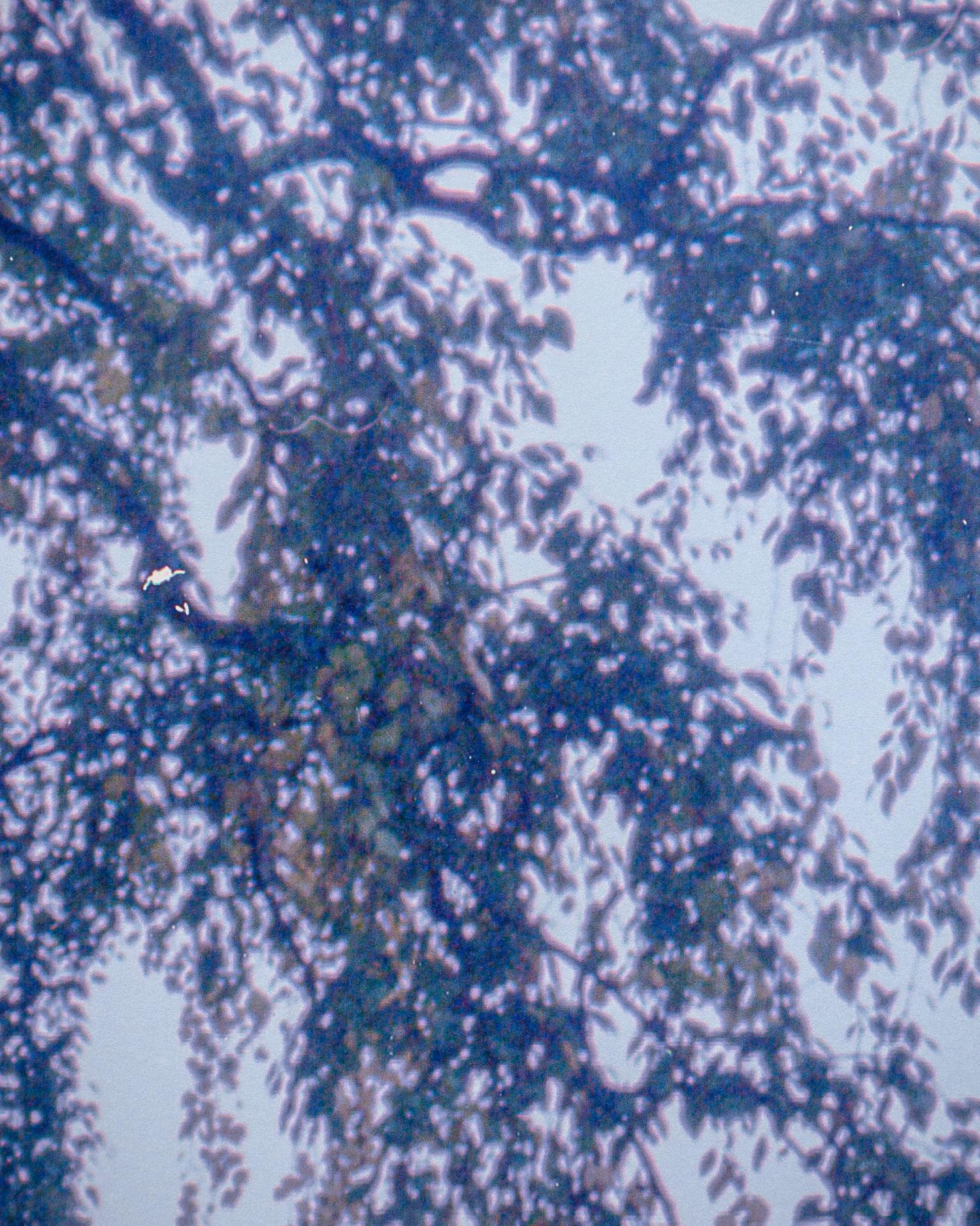 Lying down in a graveyard