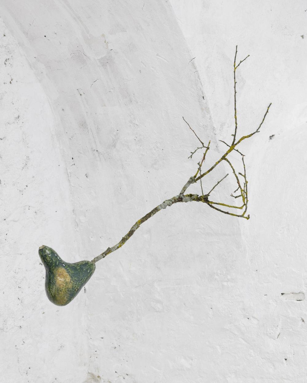 Artwork: Claw Vase