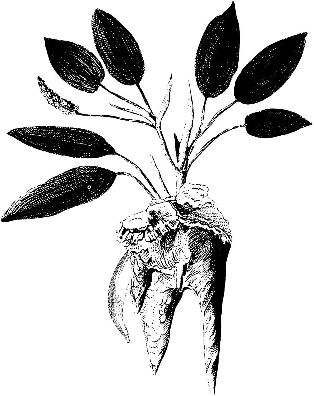 Government Alpha (JP) & Lasse Marhaug (NO) Event Image