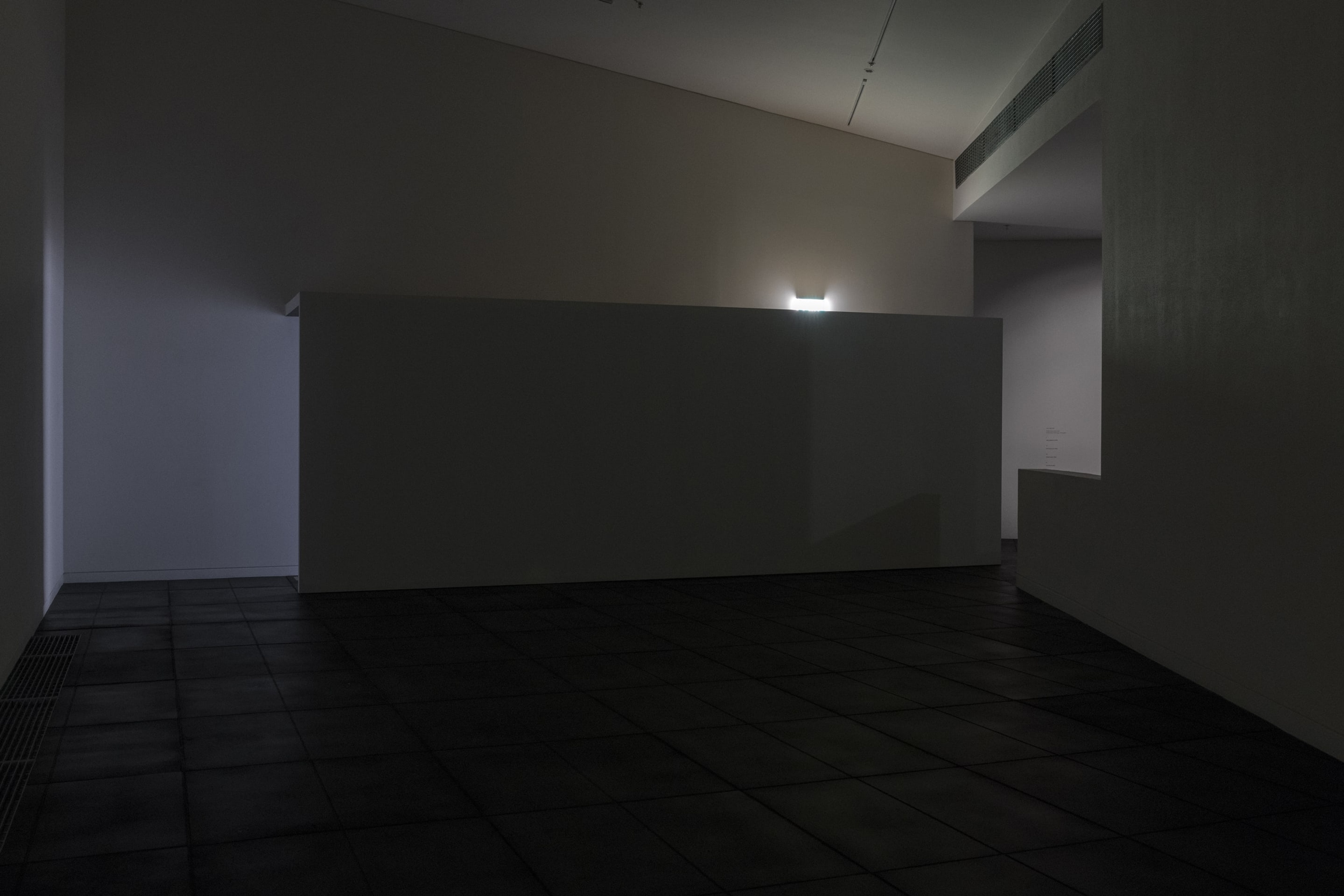 Installation view, Luke Willis Thompson, Adam Art Gallery Te Pātaka Toi, Victoria University of Wellington, 21 February – 15 April 2018