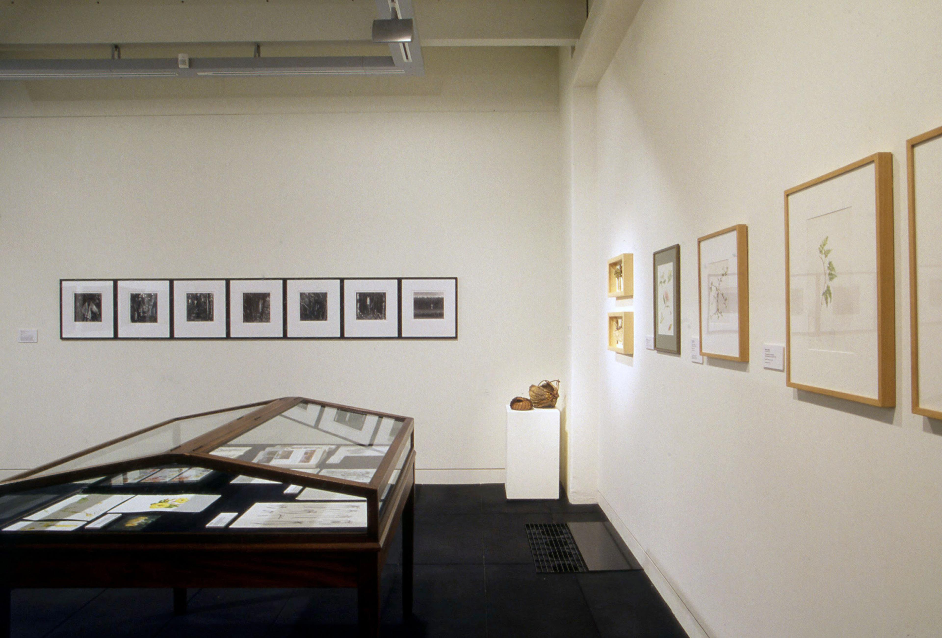 Installation view, Botanica, Adam Art Gallery Te Pātaka Toi, Victoria University of Wellington, 2001