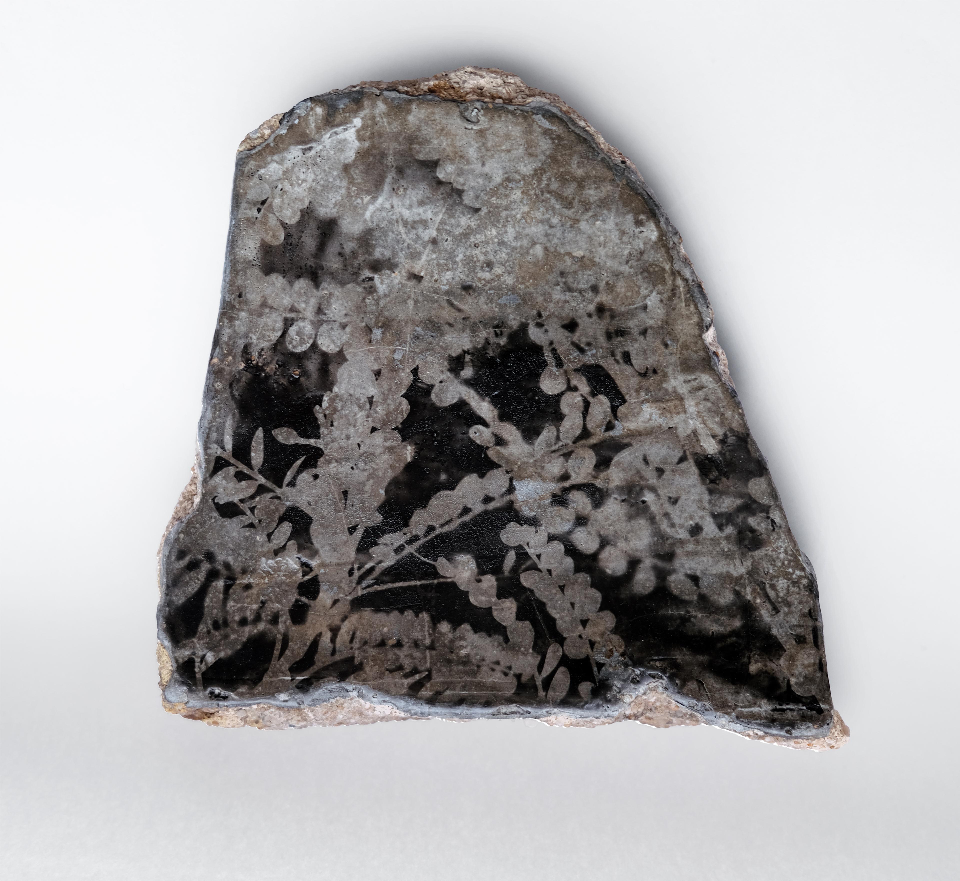 Photogram of kowhai on found rock