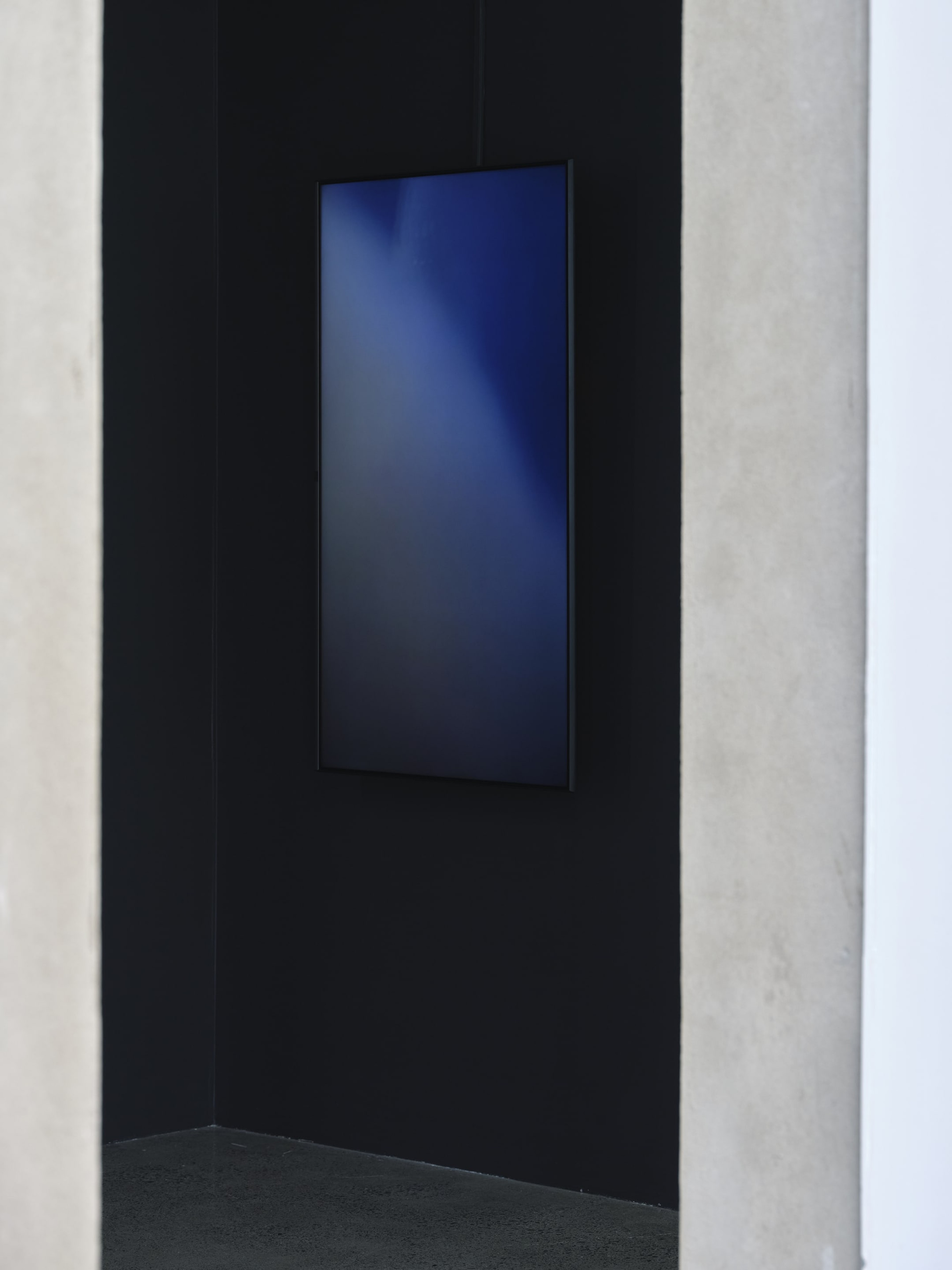 Joyce Campbell On the Last Afternoon installation image Te Uru