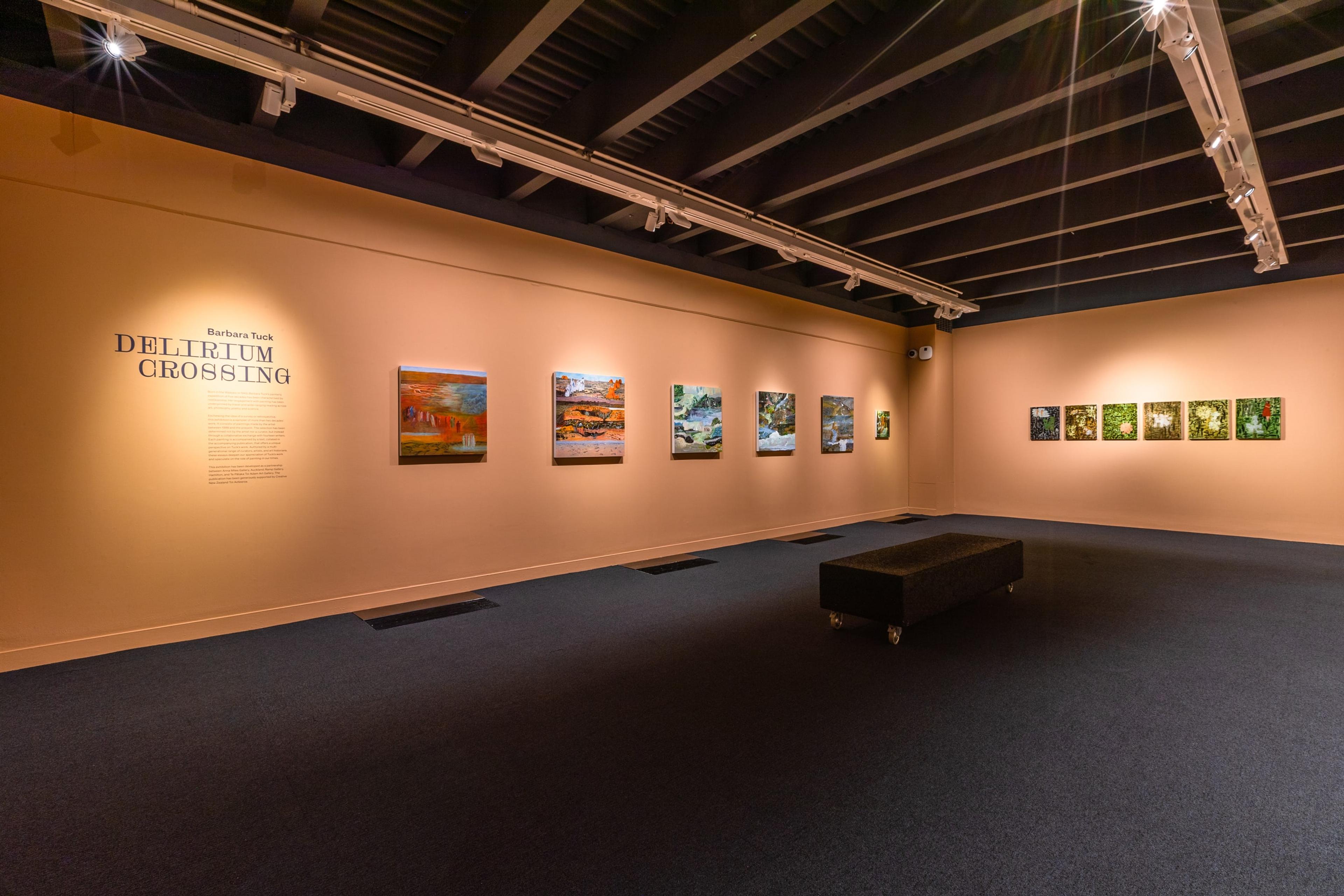 Installation view, Barbara Tuck – Delirium Crossing, Te Pātaka Toi Adam Art Gallery, Wellington, Victoria University of Wellington. Photo by Ted Whitaker.