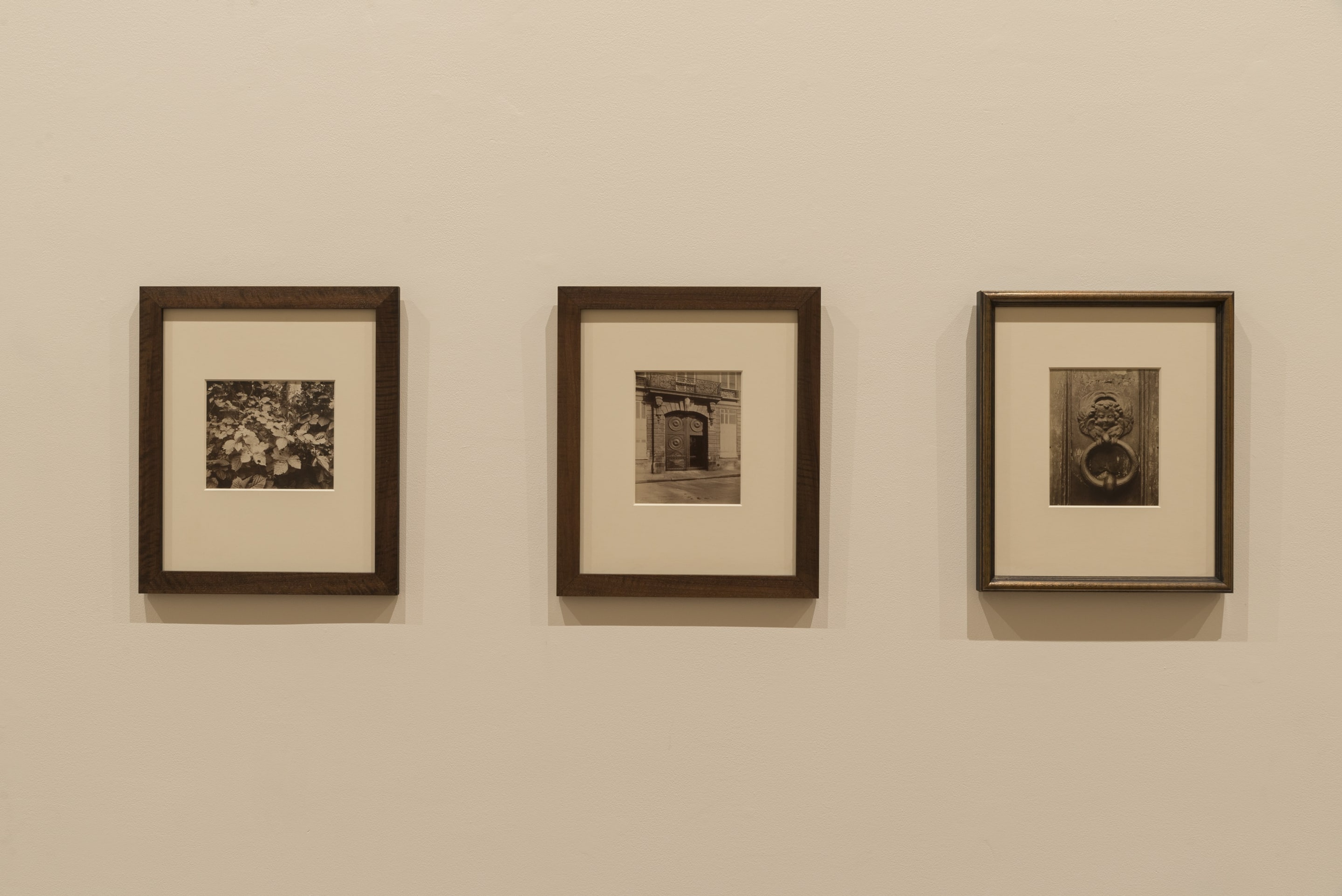 Installation view of Still looking: Peter McLeavey and the last photograph, 6 October – 20 December 2018, Adam Art Gallery Te Pātaka Toi.
