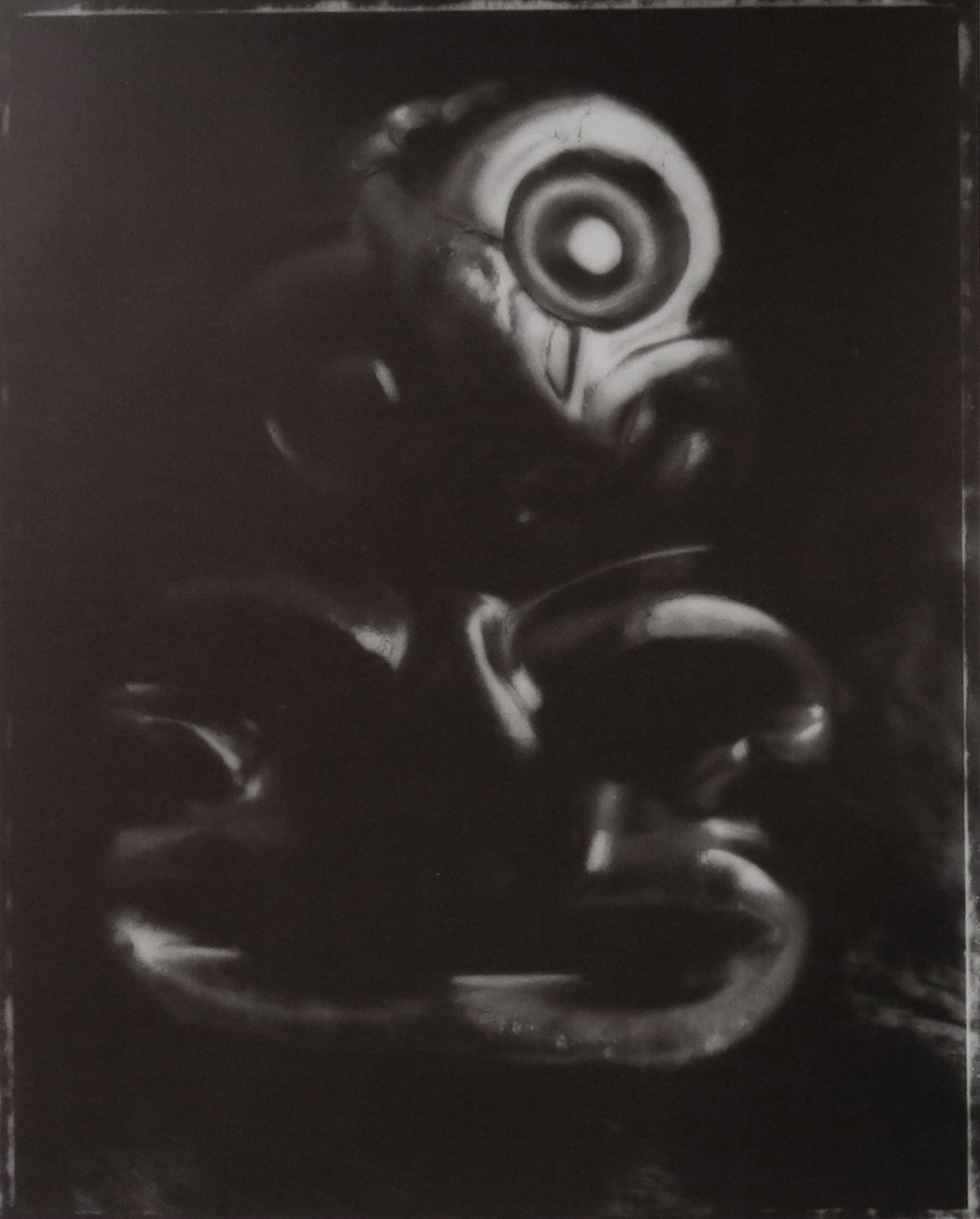 Fiona Pardington, 'Mauria Mai, Tono Ano (Bringing to Light/Claiming Again)'