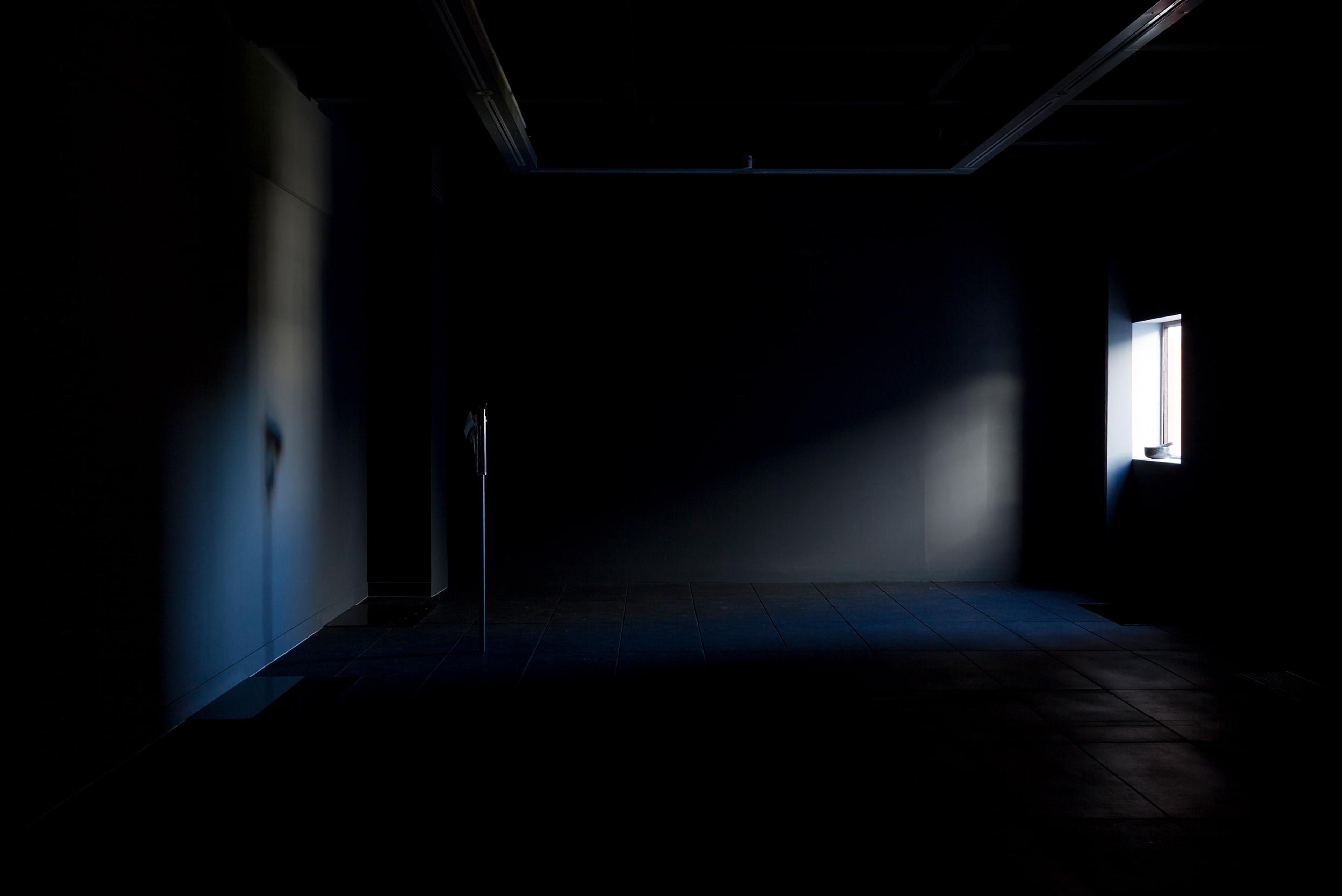 Richard Frater, Living Cities 2011–, 2015, installation view at the Adam Art Gallery, Victoria University of Wellington (photo: Shaun Waugh)