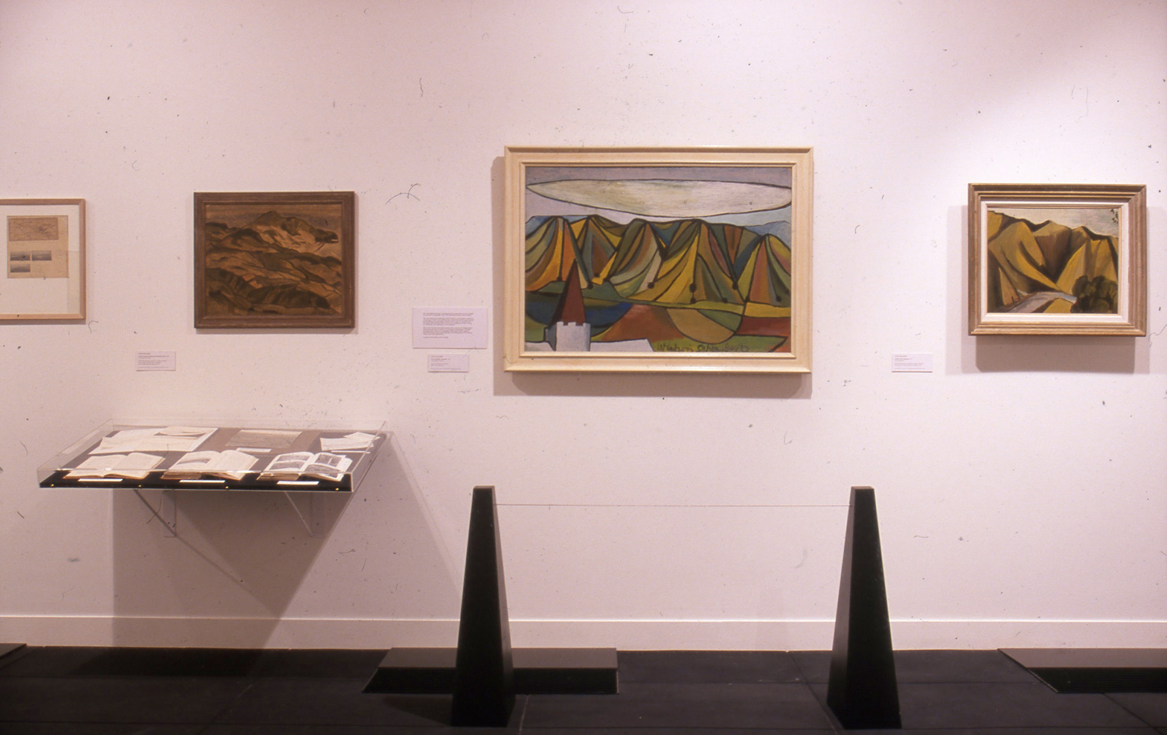 Installation view, An Artist and a Scientist, Adam Art Gallery Te Pātaka Toi, Victoria University of Wellington, 2000