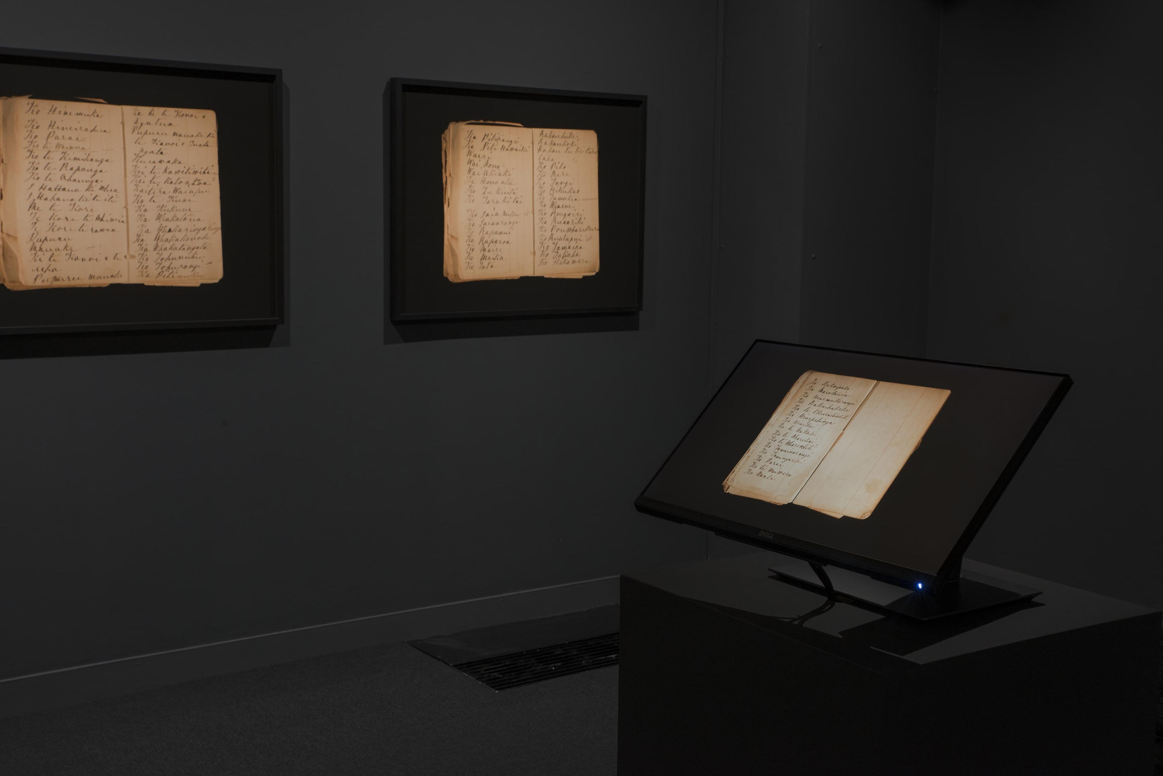 Installation view of Te Taniwha: The Manuscript of Ārikirangi