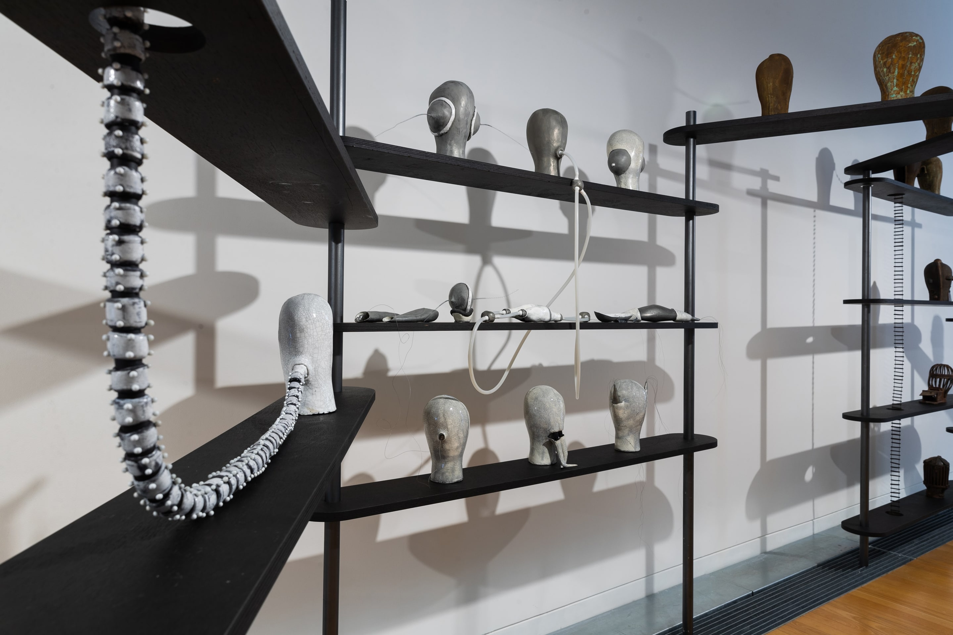 Julia Morison: Head[case]