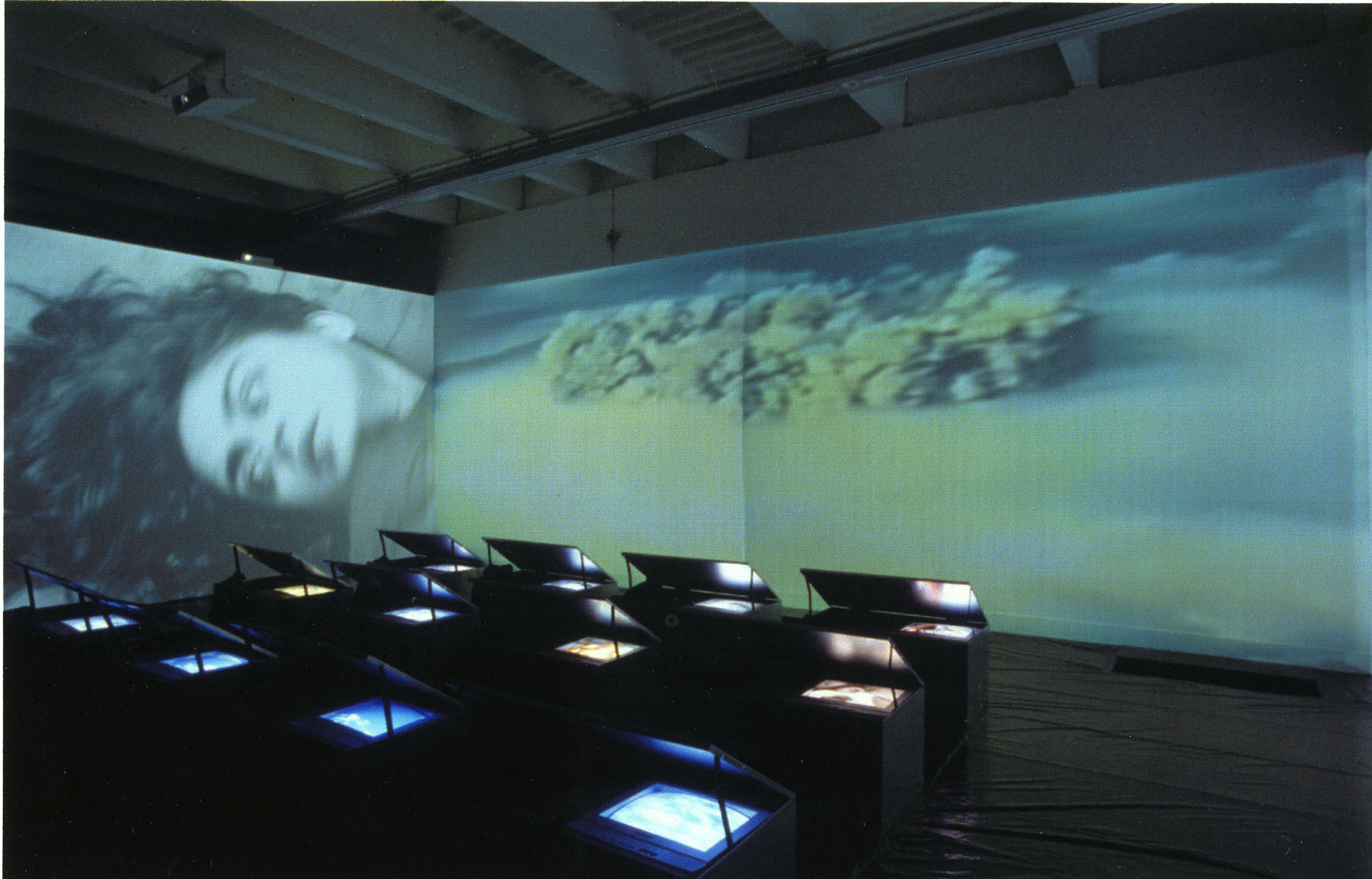 Installation view, Nalini Malani: Remembering Toba Tek Singh, Adam Art Gallery Te Pātaka Toi, Victoria University of Wellington