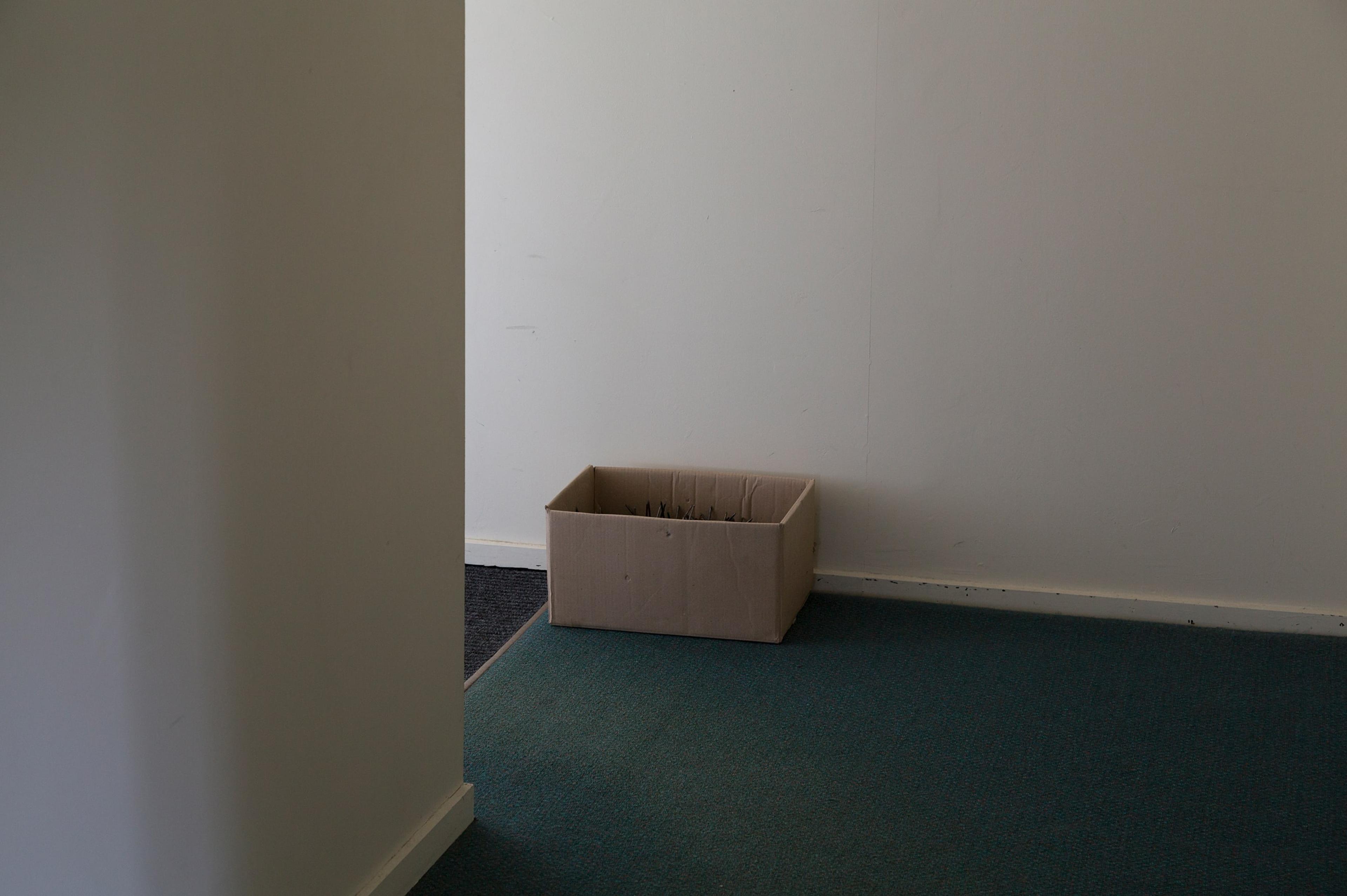 Richard Frater, Living Cities 2011–, 2015, installation view at the Adam Art Gallery, Victoria University of Wellington (photo: Shaun Waugh)