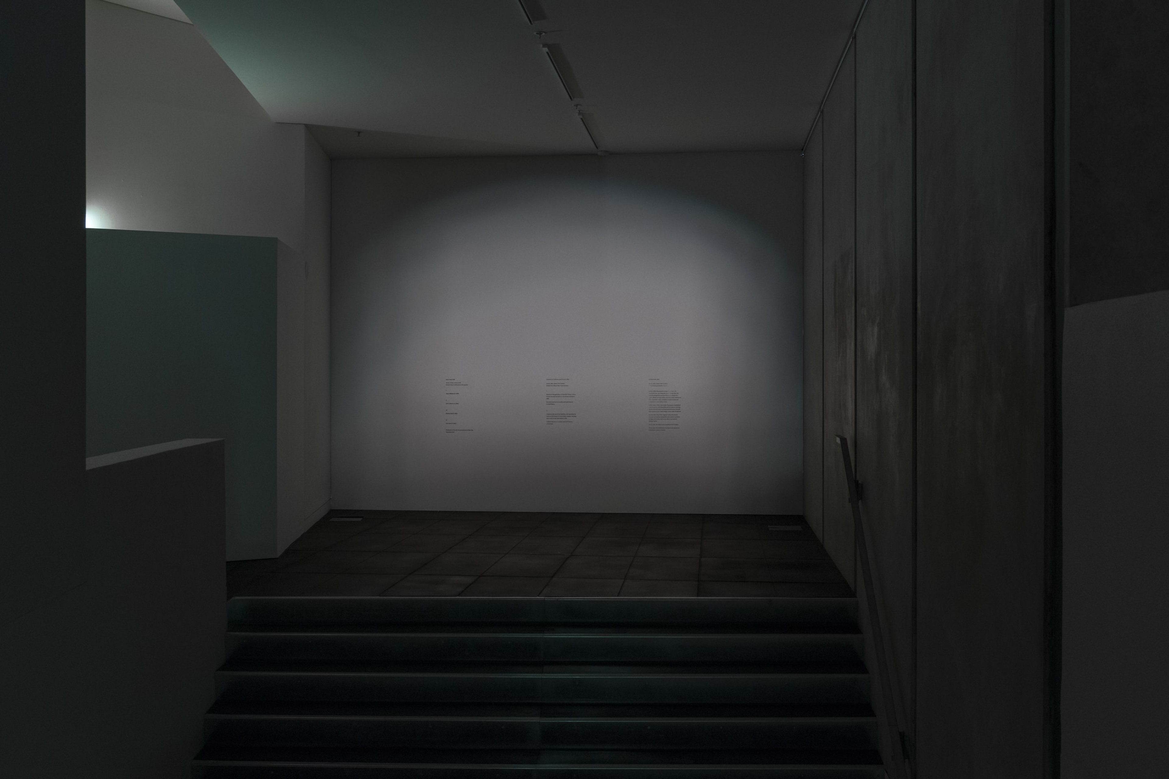 Installation view, Luke Willis Thompson, Adam Art Gallery Te Pātaka Toi, Victoria University of Wellington, 21 February – 15 April 2018