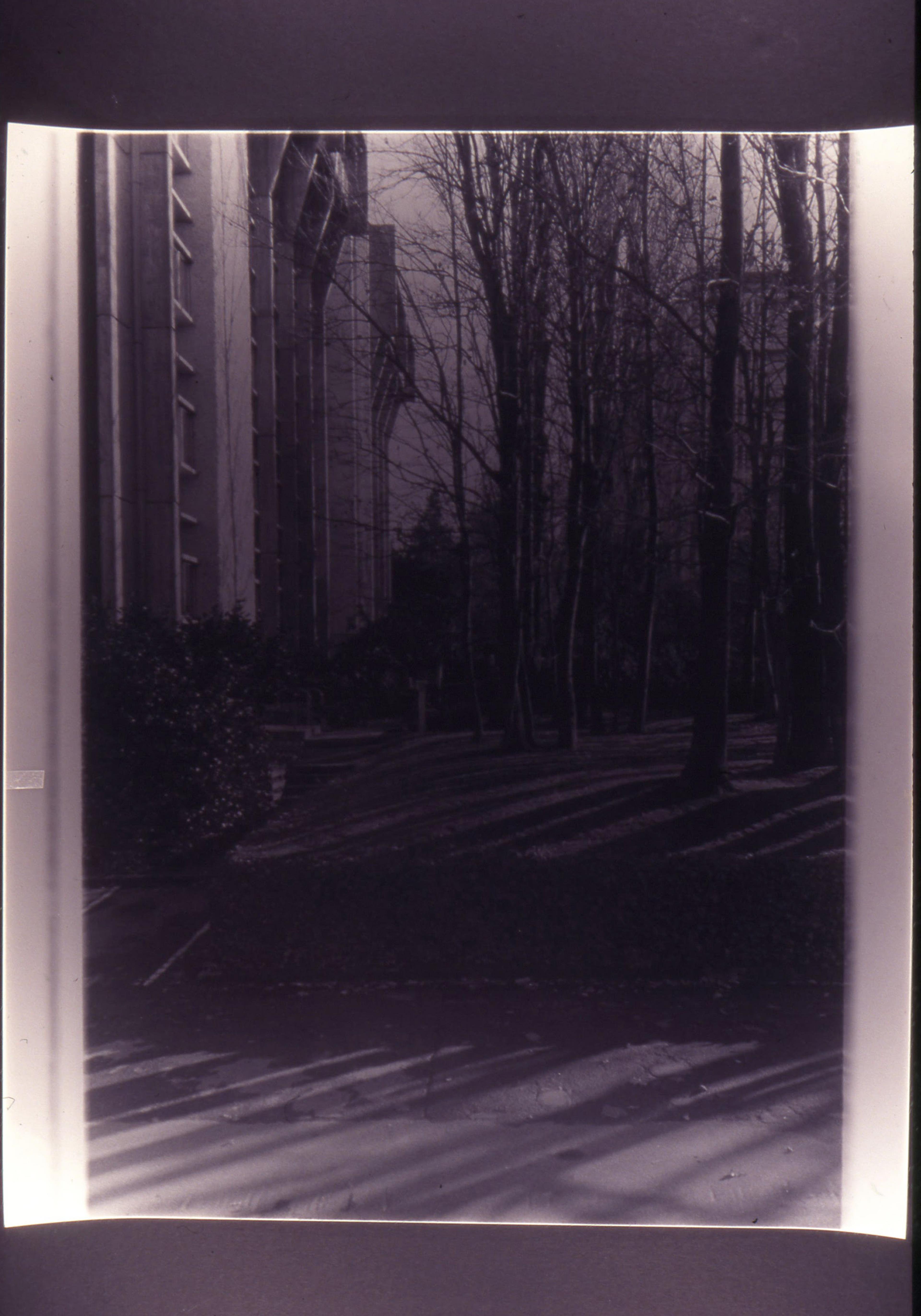 Gavin Hipkins, The Habitat (detail), 1999-2000, 72 black and white photographs, 510 x 660mm each. Courtesy of the artist