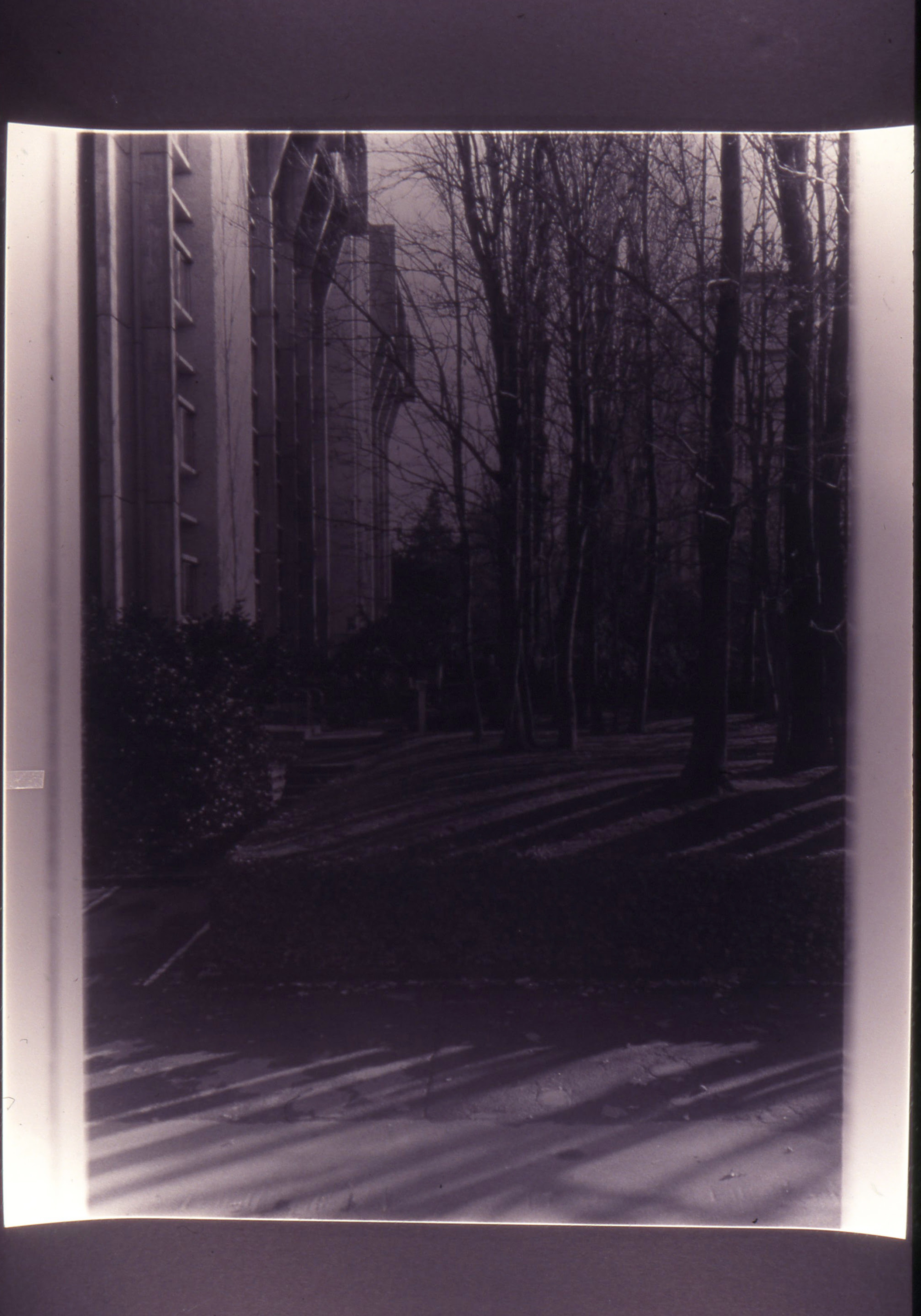 Gavin Hipkins, The Habitat (detail), 1999-2000, 72 black and white photographs, 510 x 660mm each. Courtesy of the artist