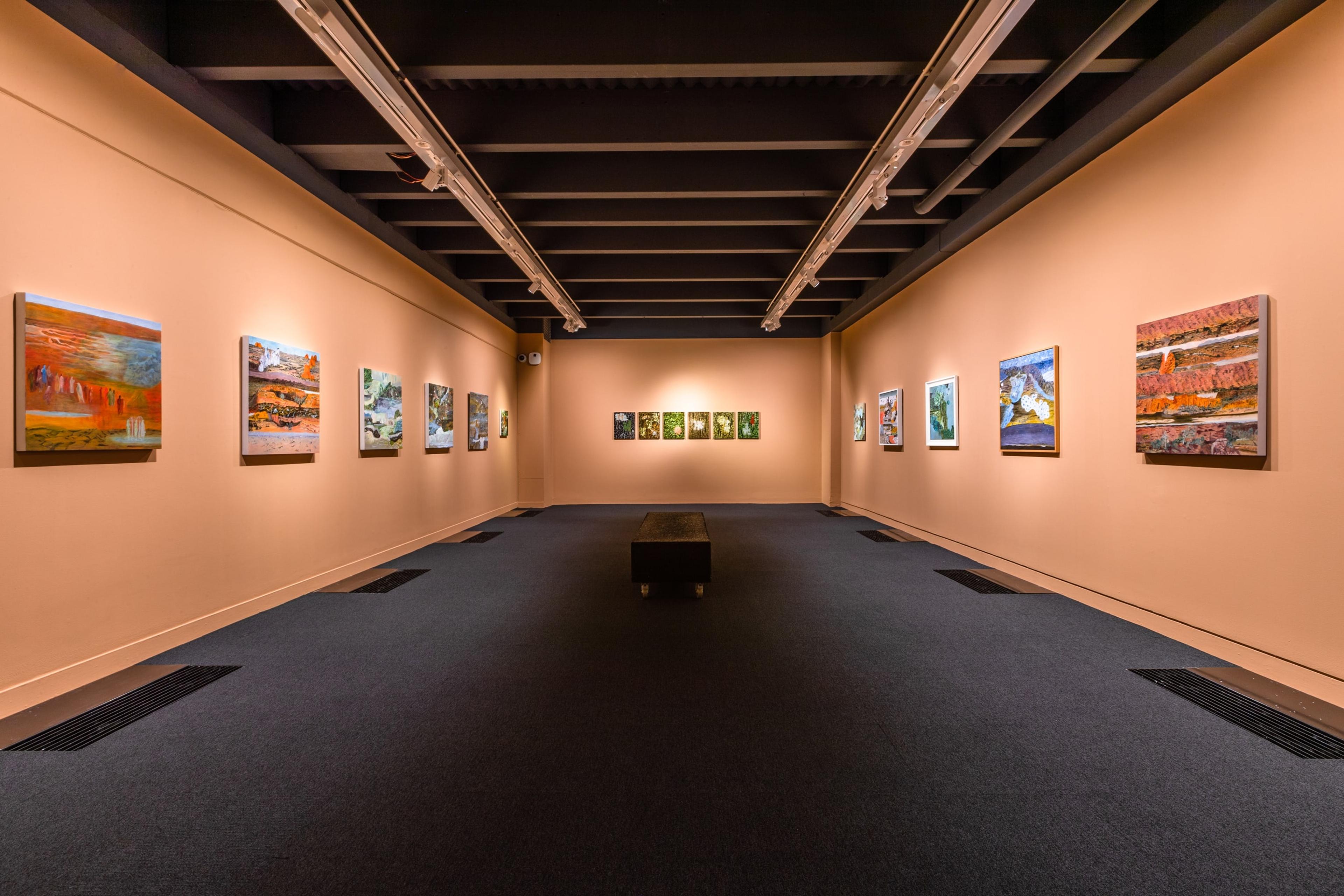 Installation view of Barbara Tuck – Delirium Crossing, Te Pātaka Toi Adam Art Gallery, Wellington, 13 July – 25 September 2022. Photo by Ted Whitaker.