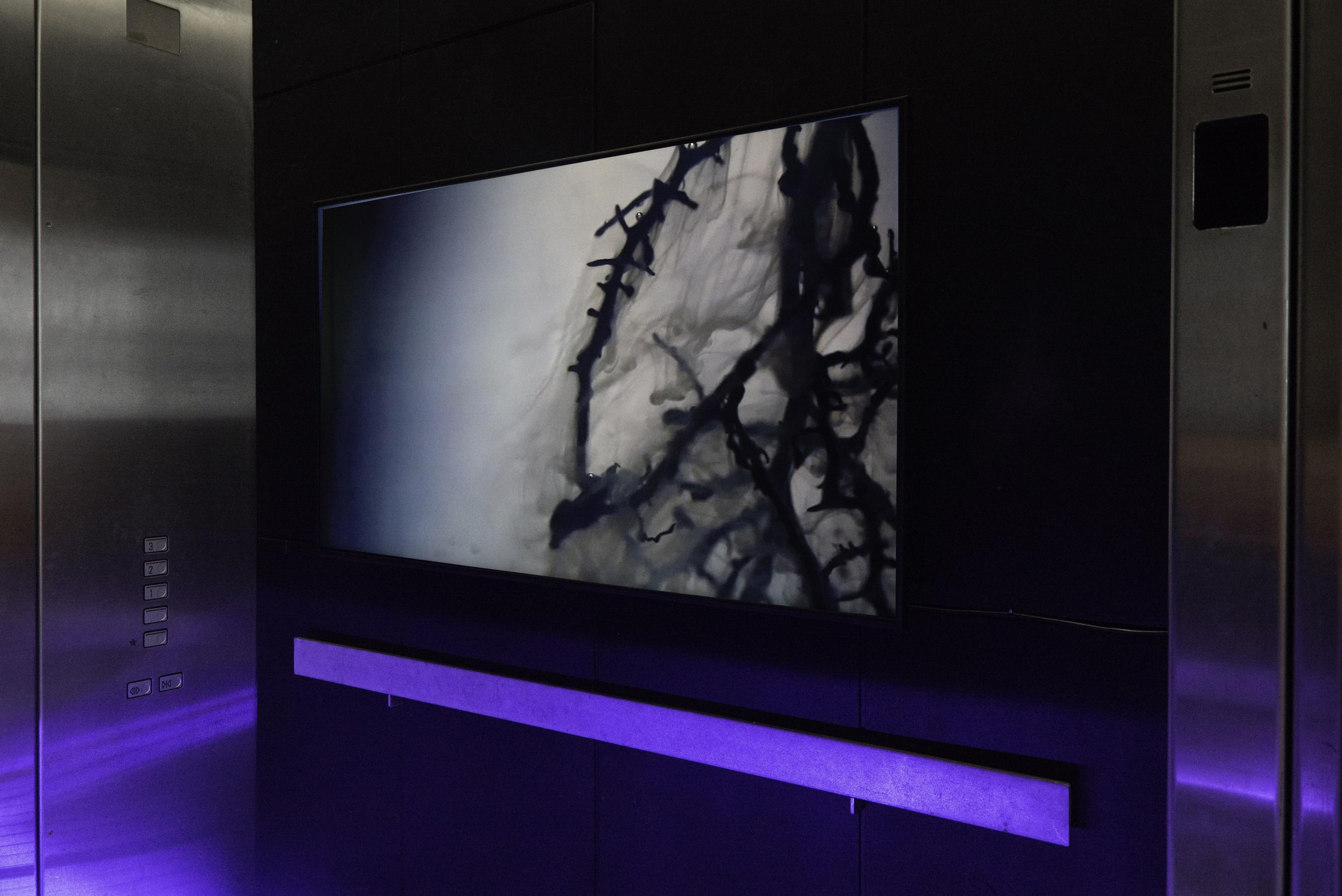 Joyce Campbell, Flight Dream, 2014, single channel digital video installation, colour, sound by Peter Kolovos and narration by Andrew Maxwell from a story by Mark von Schlegell. 