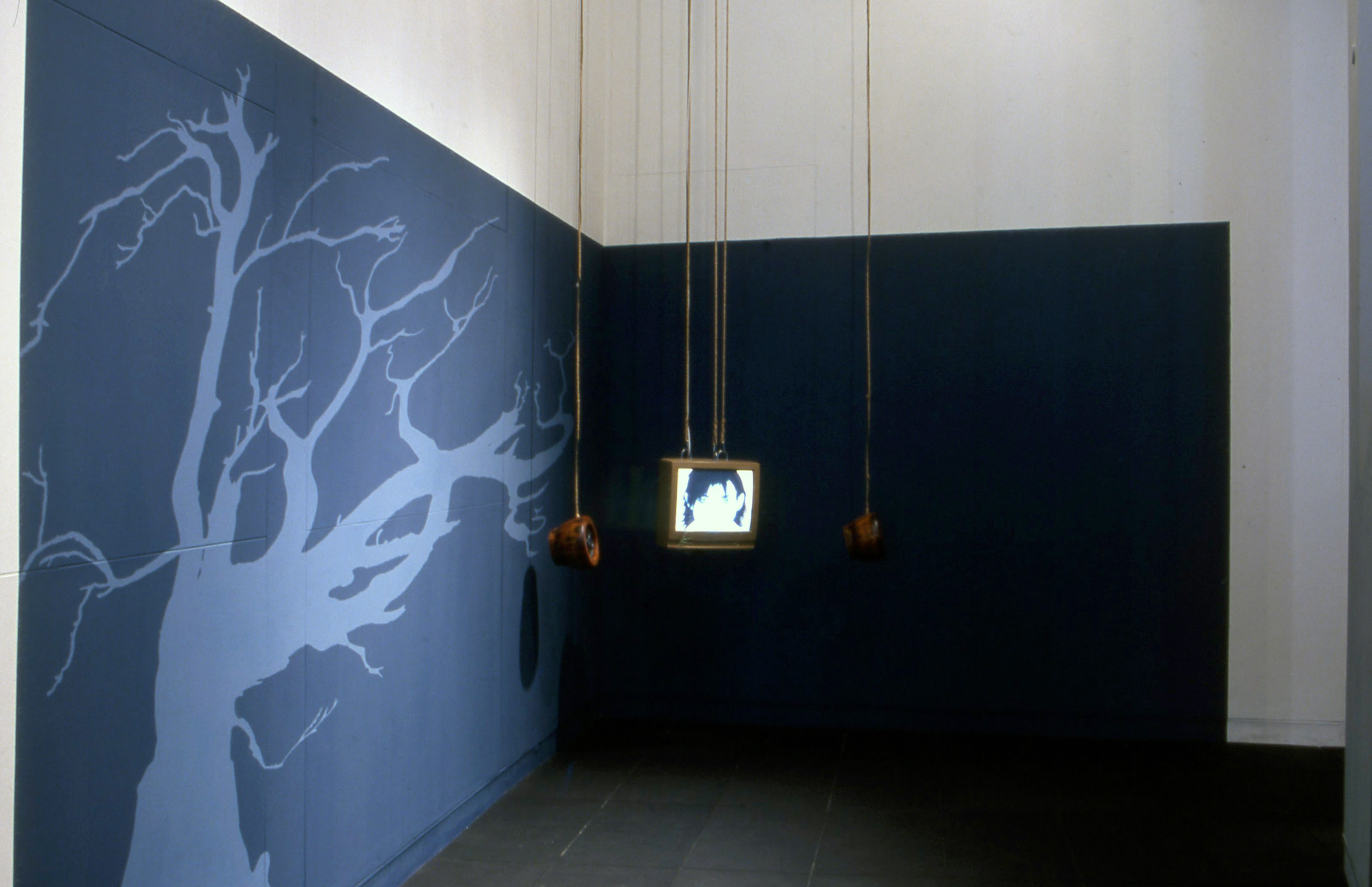 Installation view, Co-ExisteInstallation view, Happiness, Adam Art Gallery Te Pātaka Toi, Victoria University of Wellington, 2001nz: Happiness, Adam Art Gallery Te Pātaka Toi, Victoria University of Wellington, 2001