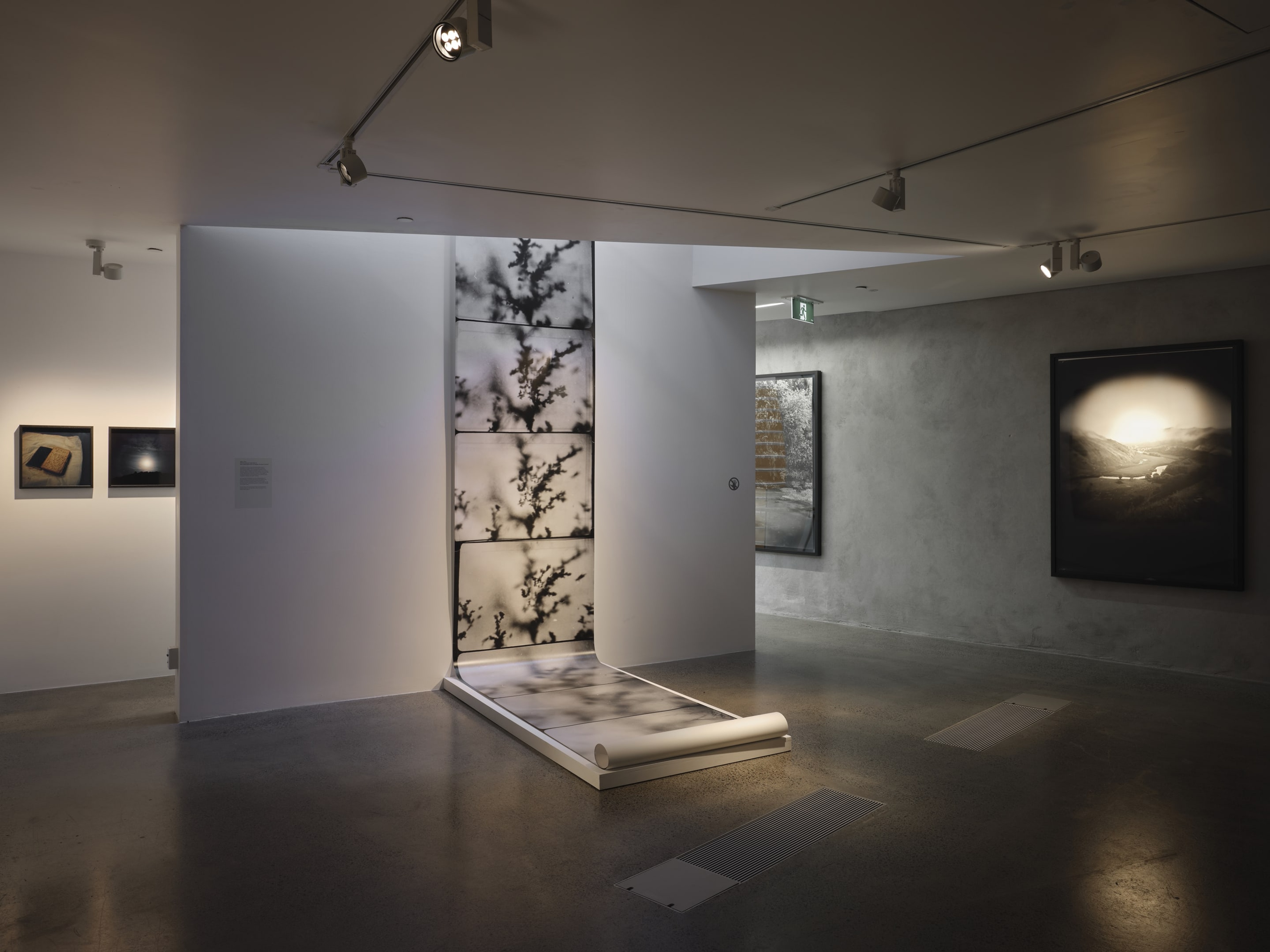 Joyce Campbell On the Last Afternoon installation image Te Uru