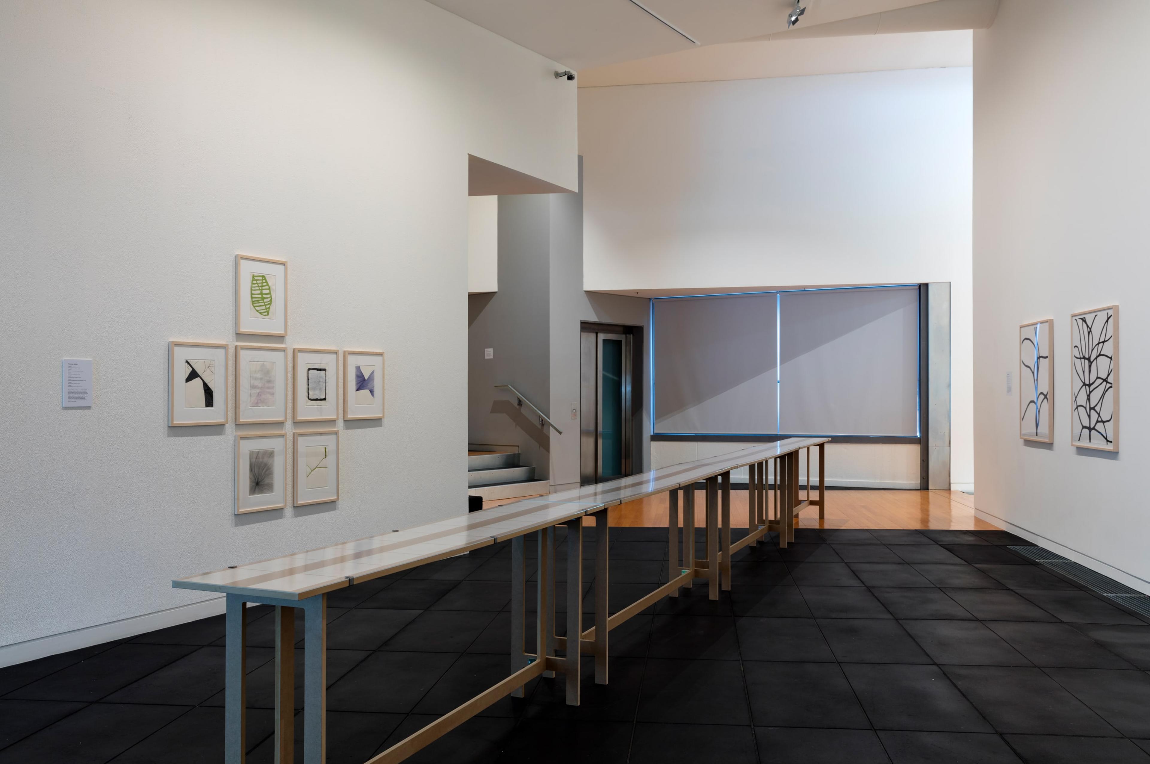 Installation view of the ifa-exhibition Linie Line Linea: Contemporary Drawing at the Adam Art Gallery Te Pātaka Toi, Victoria University of Wellington (photo: Shaun Waugh)