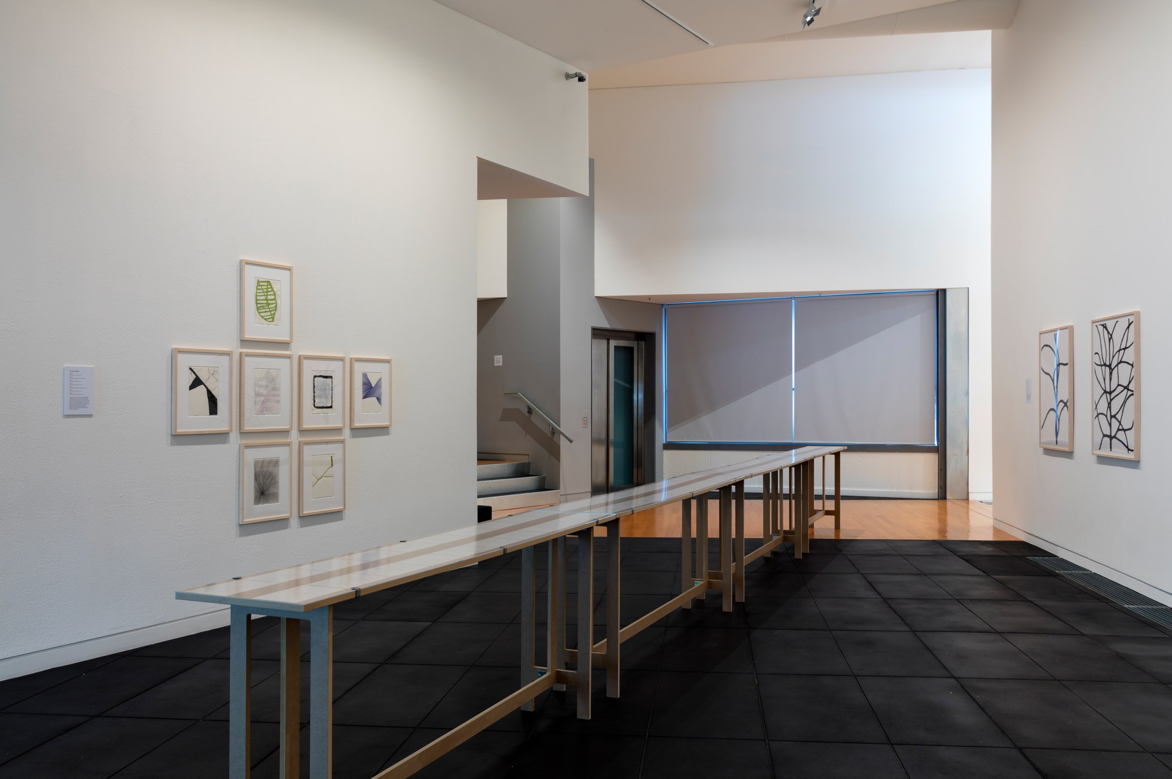 Installation view of the ifa-exhibition Linie Line Linea: Contemporary Drawing at the Adam Art Gallery Te Pātaka Toi, Victoria University of Wellington (photo: Shaun Waugh)