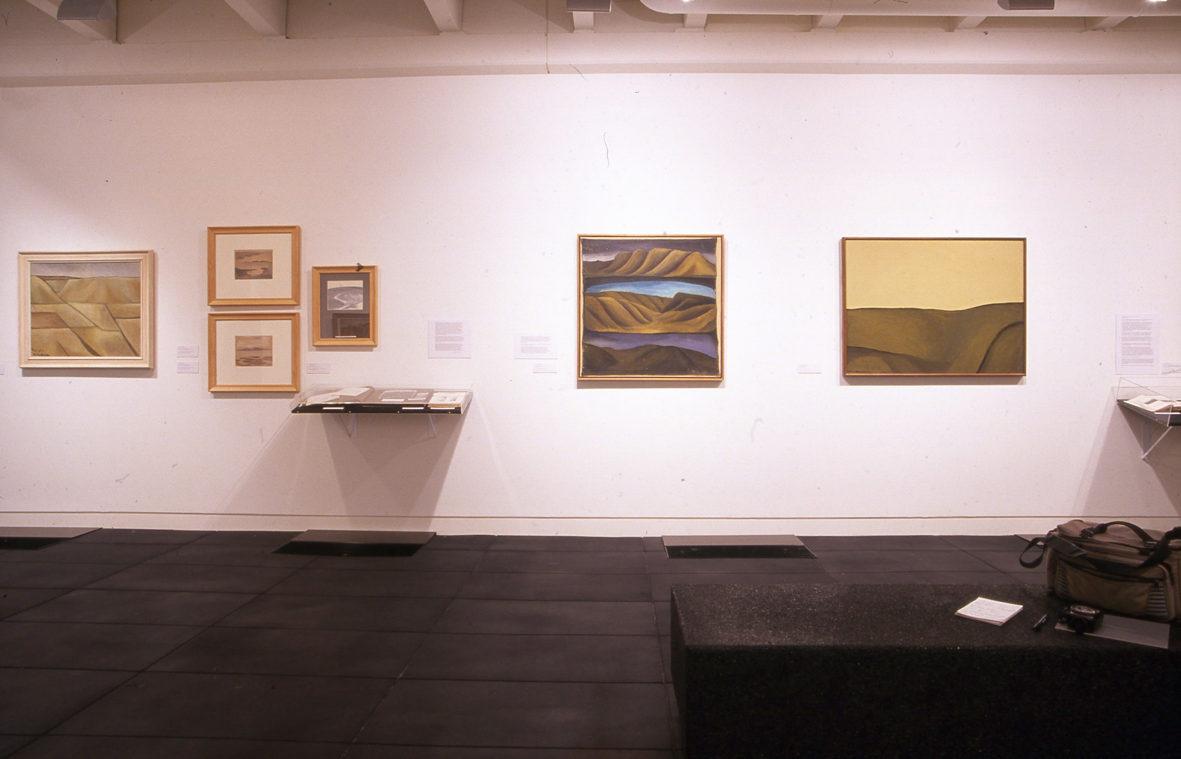 Installation view, An Artist and a Scientist, Adam Art Gallery Te Pātaka Toi, Victoria University of Wellington, 2000