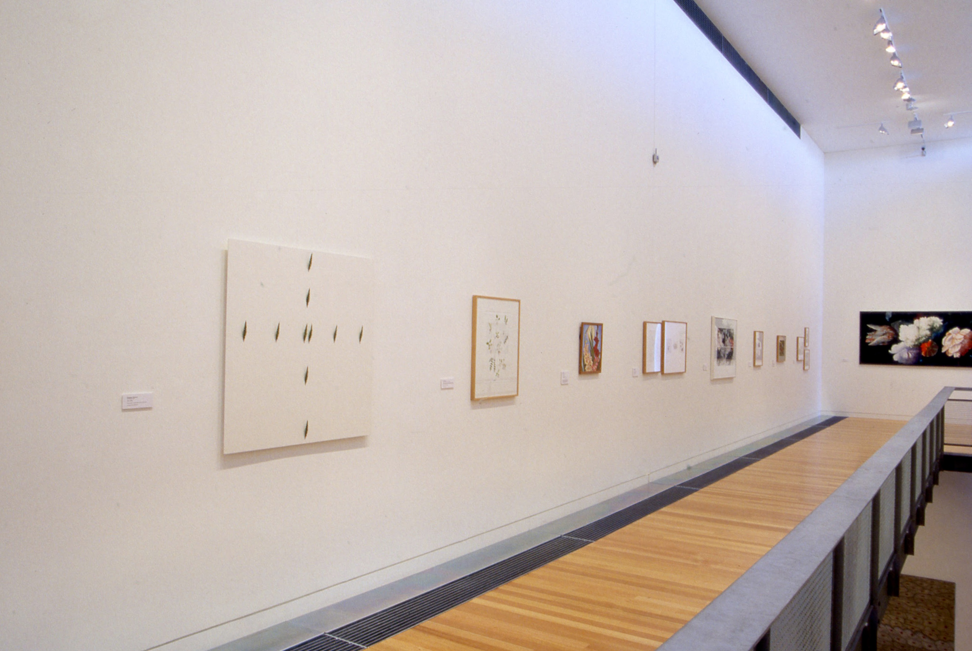 Installation view, Botanica, Adam Art Gallery Te Pātaka Toi, Victoria University of Wellington, 2001