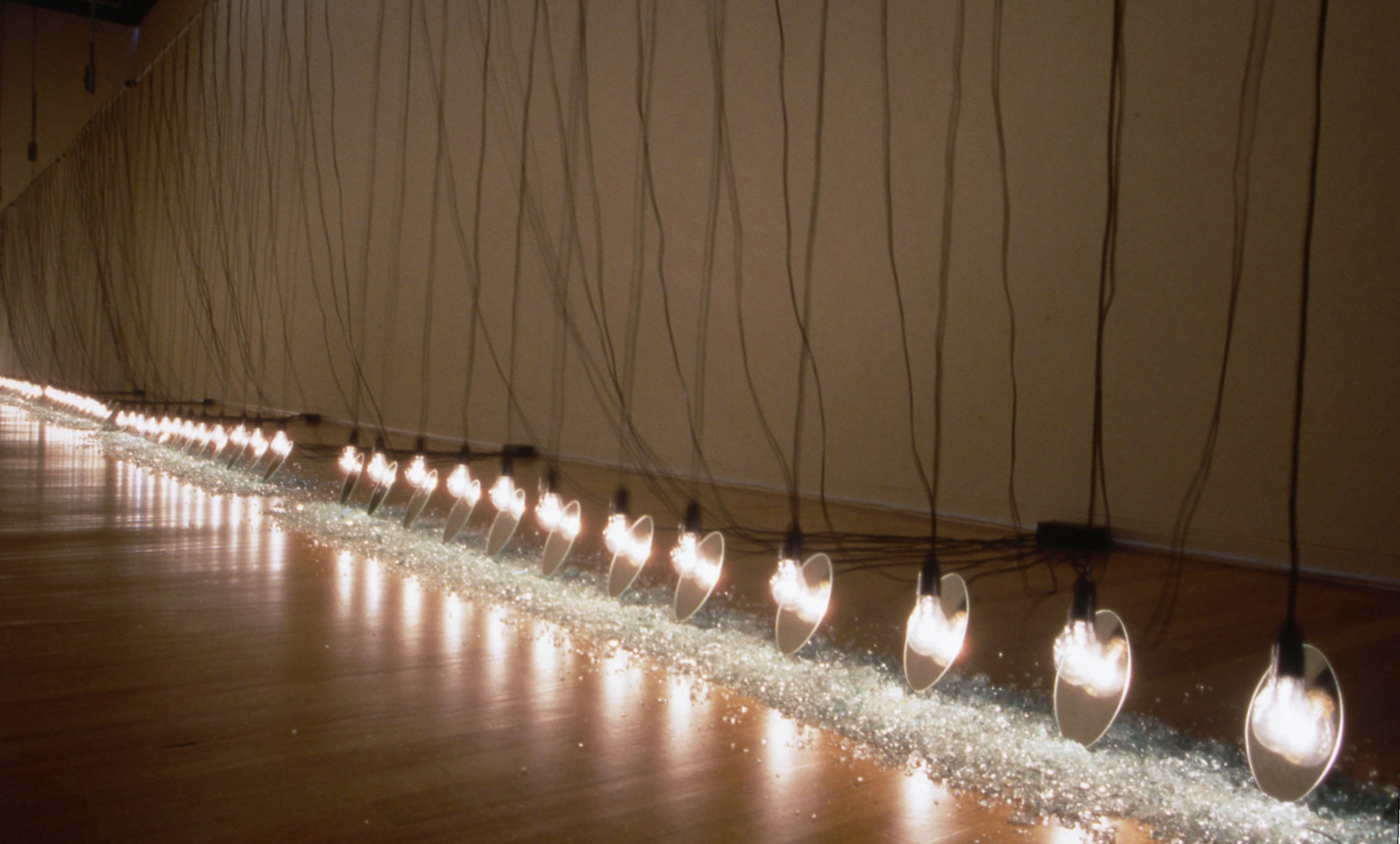 Installation view, Suzann Victor: Expense of Spirit In A Waste of Shame in Lights and Shadows, Adam Art Gallery Te Pātaka Toi, Victoria University of Wellington, 2002