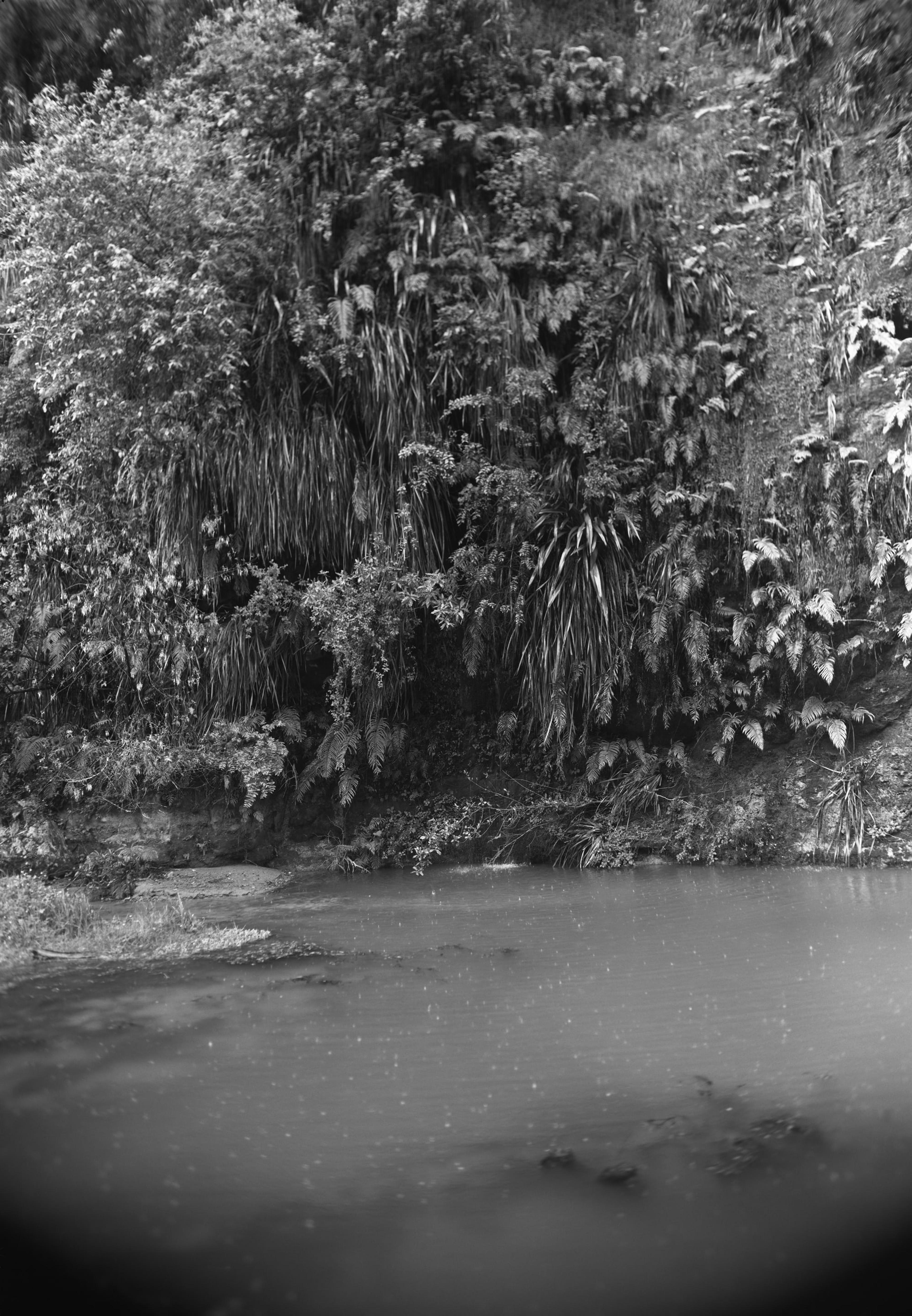 Joyce Campbell, The Roto, 2010, gelatin silver photograph from the Te Taniwha series.