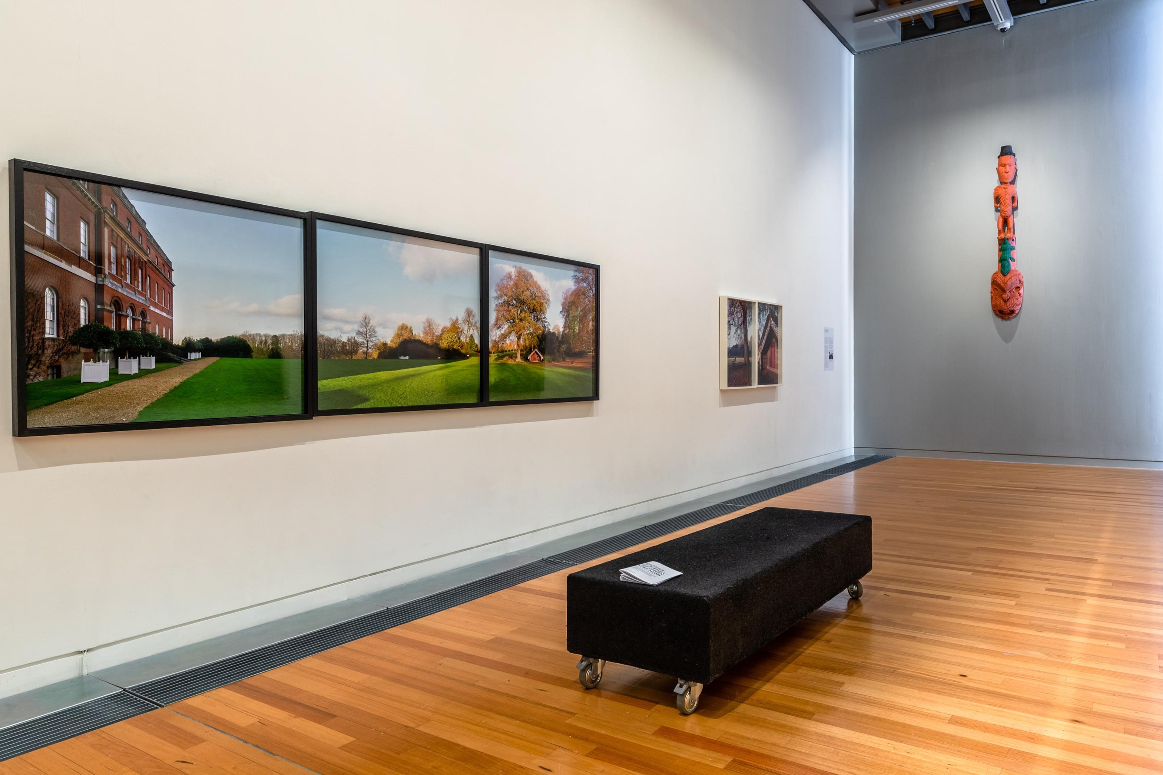 Installation view, Mark Adams, Hinemihi: Te Hokinga-The Return, in Tēnei Ao Tūroa – This Enduring World, Te Pātaka Toi Adam Art Gallery. Photo: Ted Whitaker