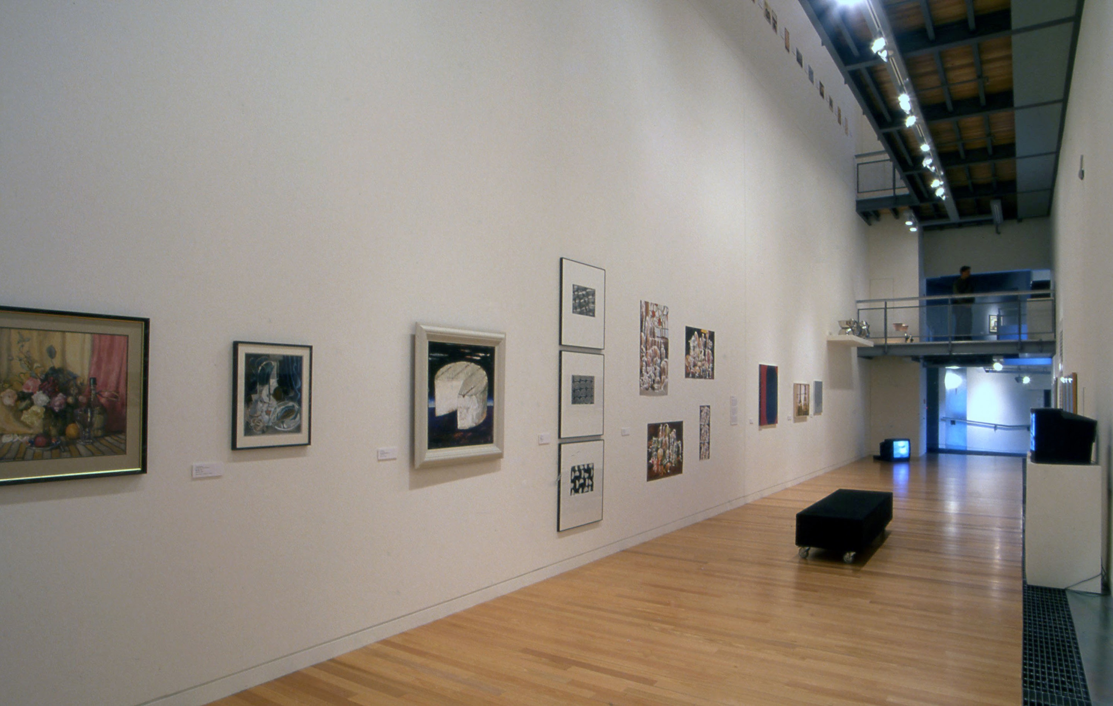 Installation view, Alive! Still Life into Twenty First Century, Adam Art Gallery Te Pātaka Toi, Victoria University of Wellington, 2001