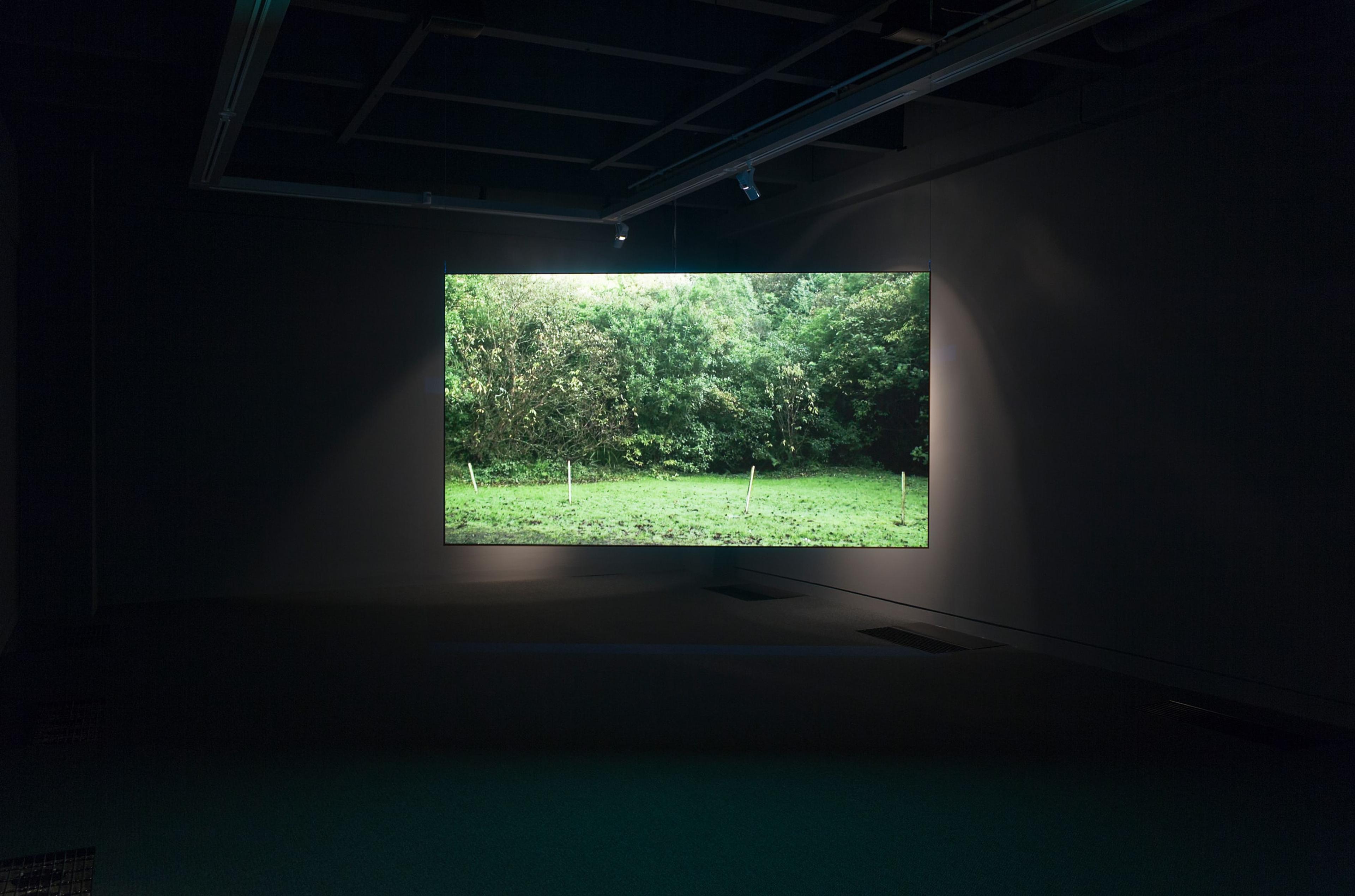 Installation view at the Adam Art Gallery, Shannon Te Ao, Follow the Party of the Whale, 2013, two-channel video, sound, colour, 12:51mins, 2:49mins (cinematography by Iain Frengley) © Shannon Te Ao (photo: Shaun Waugh)