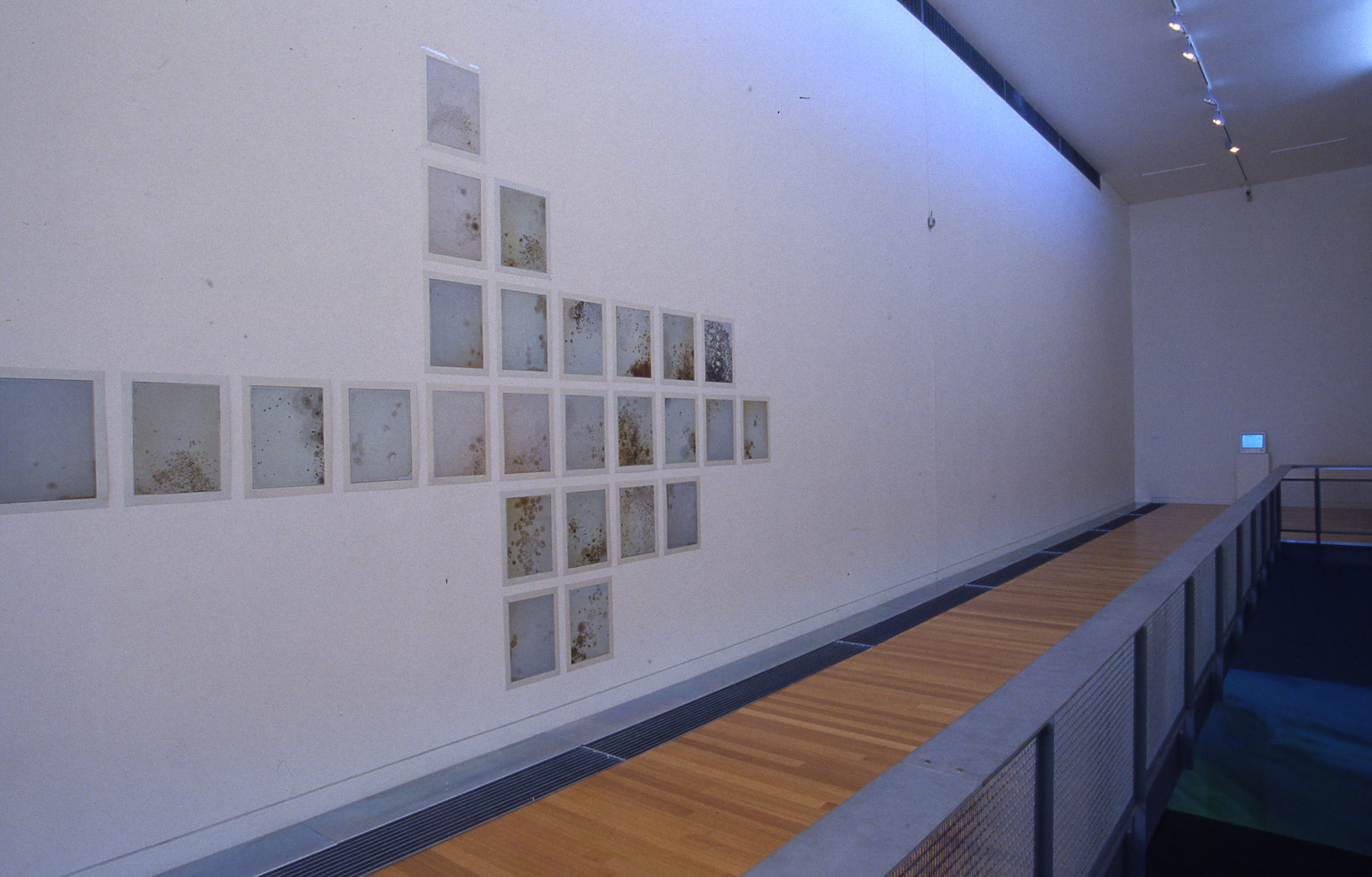 Installation view, Dirty Pixels, Adam Art Gallery Te Pātaka Toi, Victoria University of Wellington, 2003