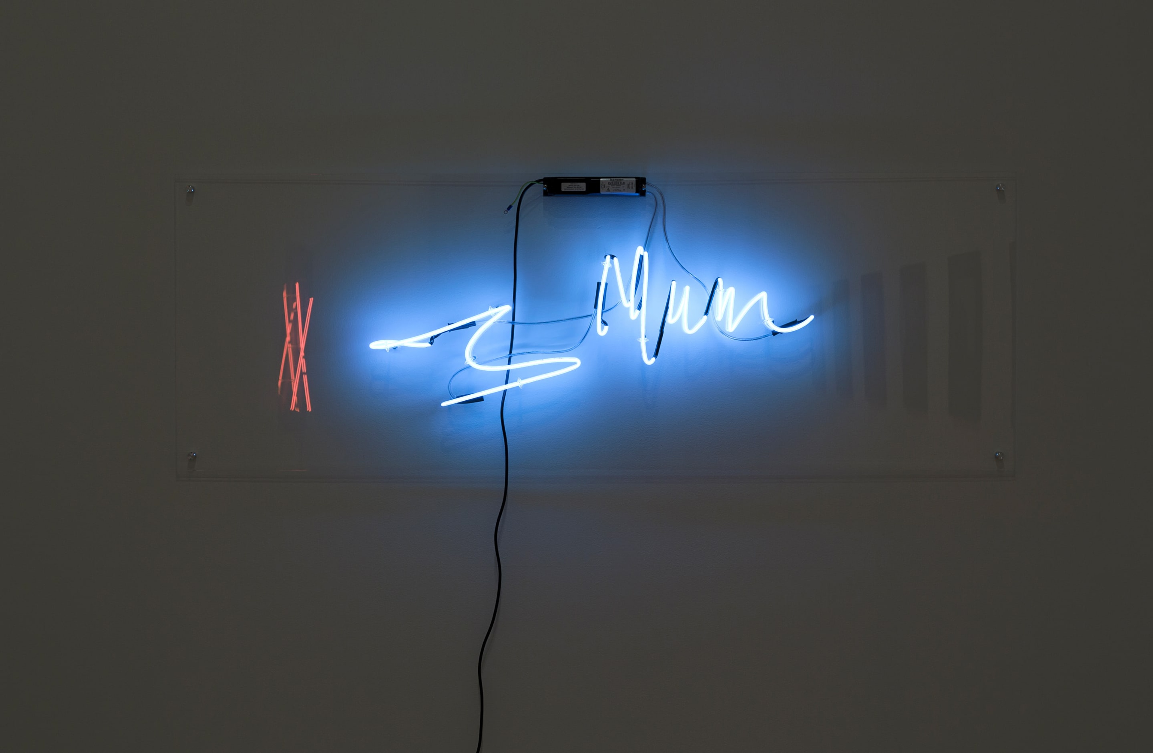 Paul Johns, Mum (2013) at the Adam Art Gallery. Mixed media installation. Photo: Shaun Waugh.