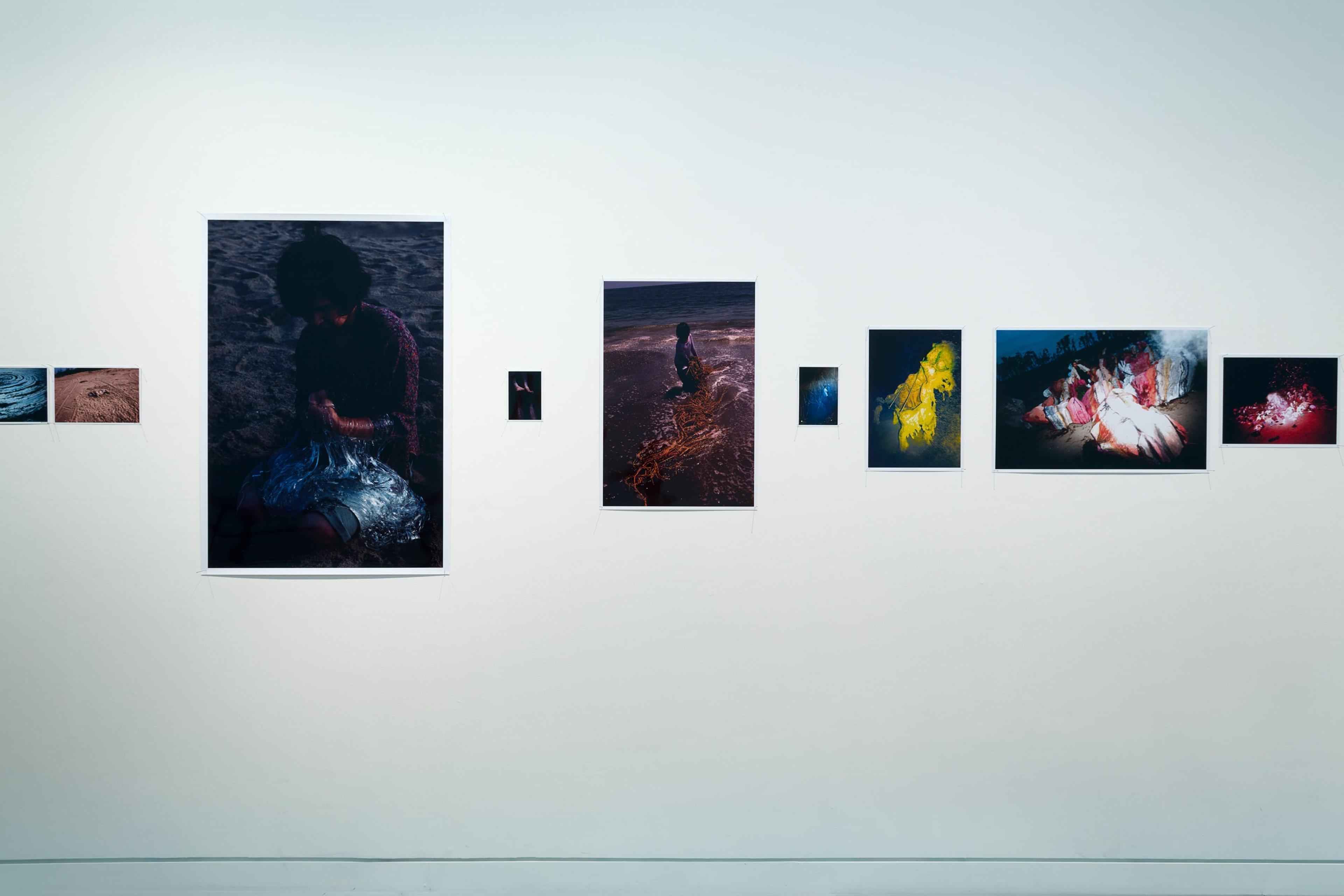 Lieko Shiga, RASEN KAIGAN (2008-2013) at the Adam Art Gallery. Photo: Shaun Waugh.