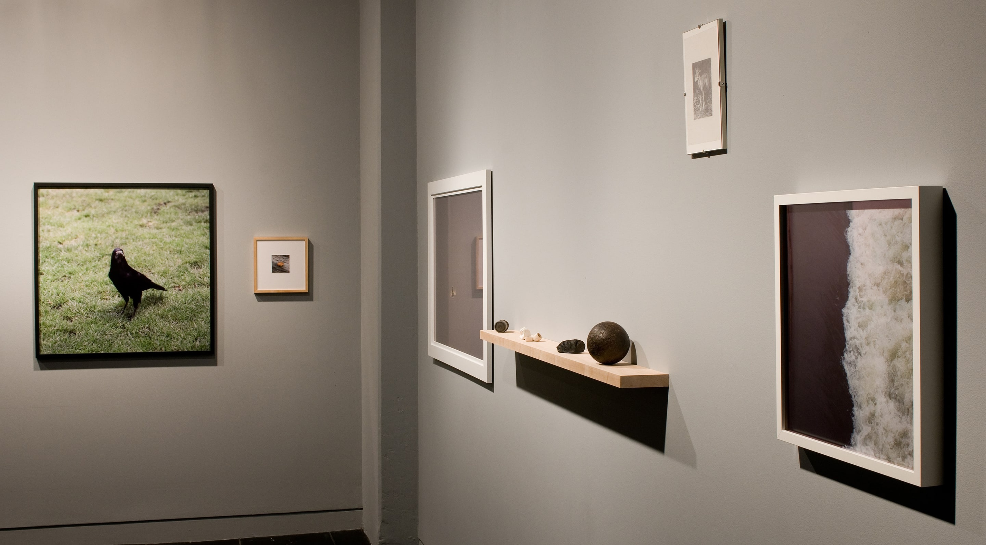 g. bridle The Inimical: A Selection from the Retreat 2011