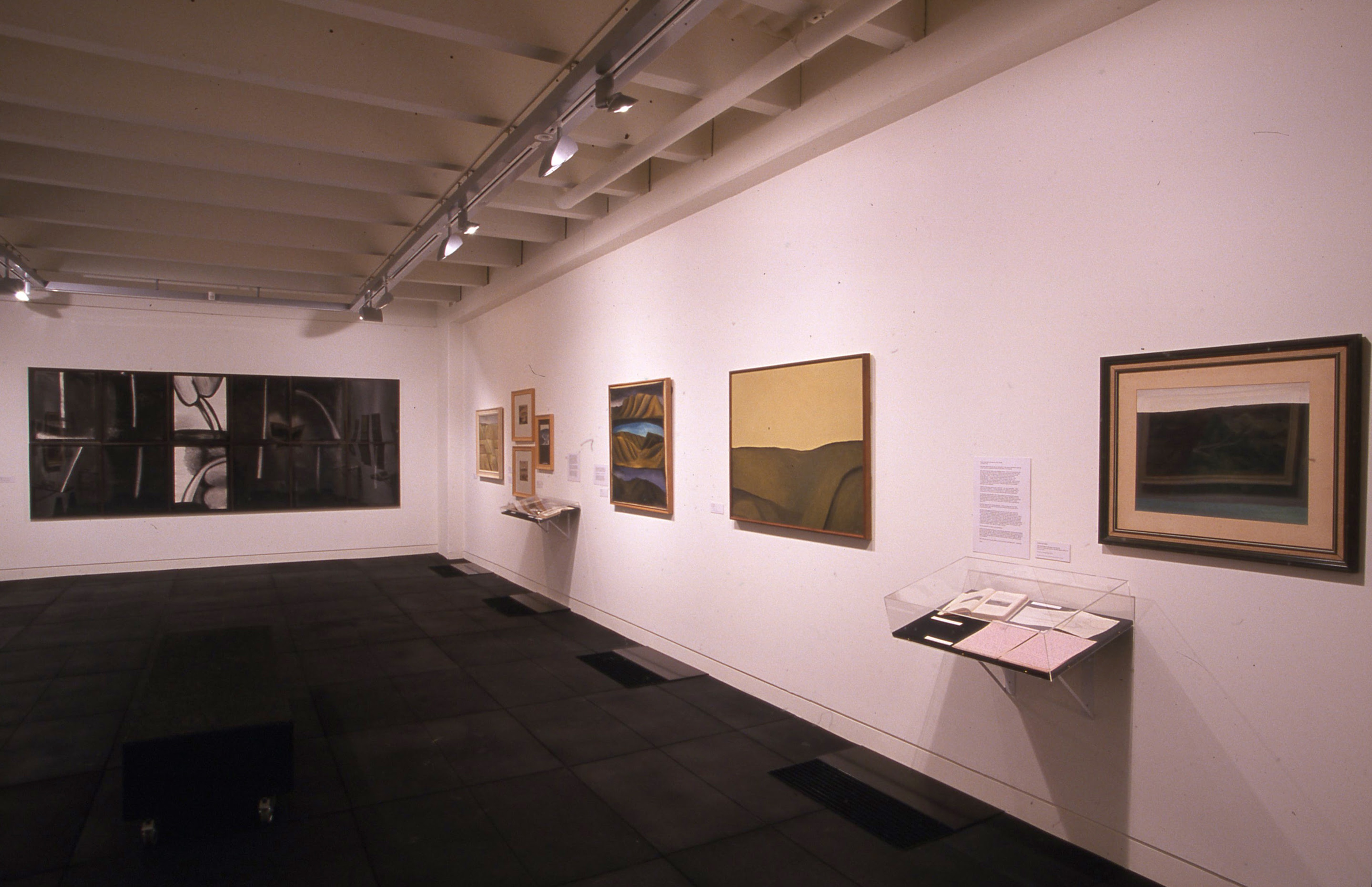 Installation view, An Artist and a Scientist, Adam Art Gallery Te Pātaka Toi, Victoria University of Wellington, 2000