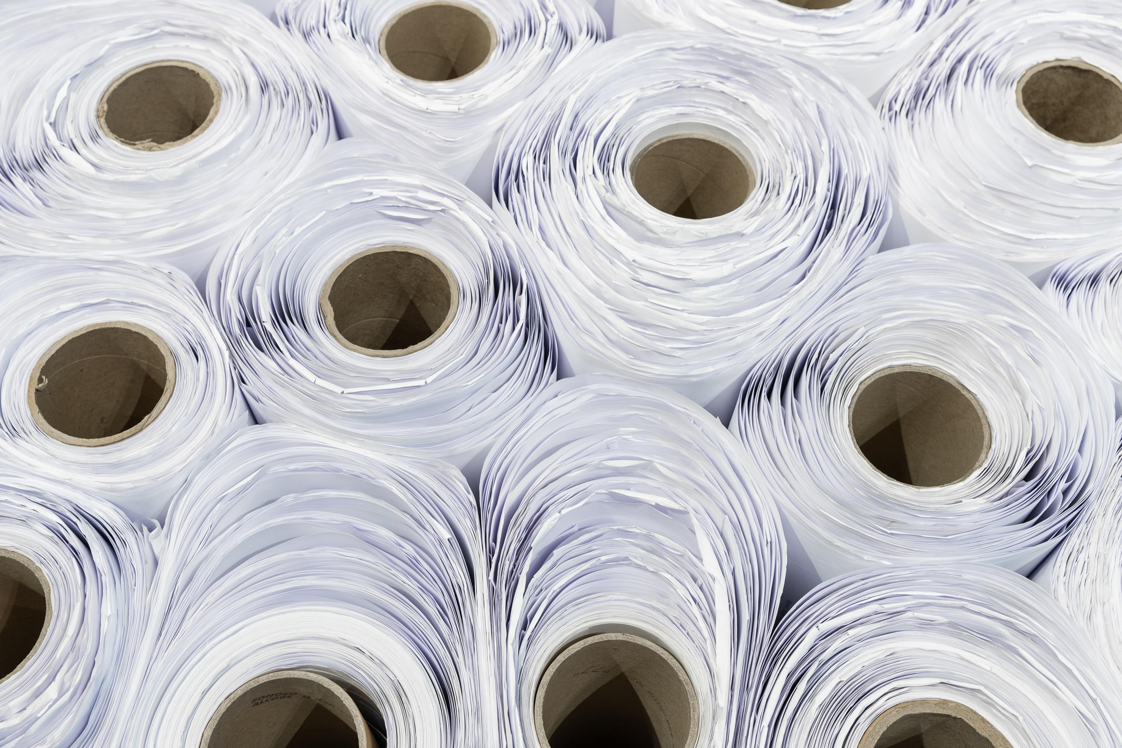 Dane Mitchell, Post Hoc Relic