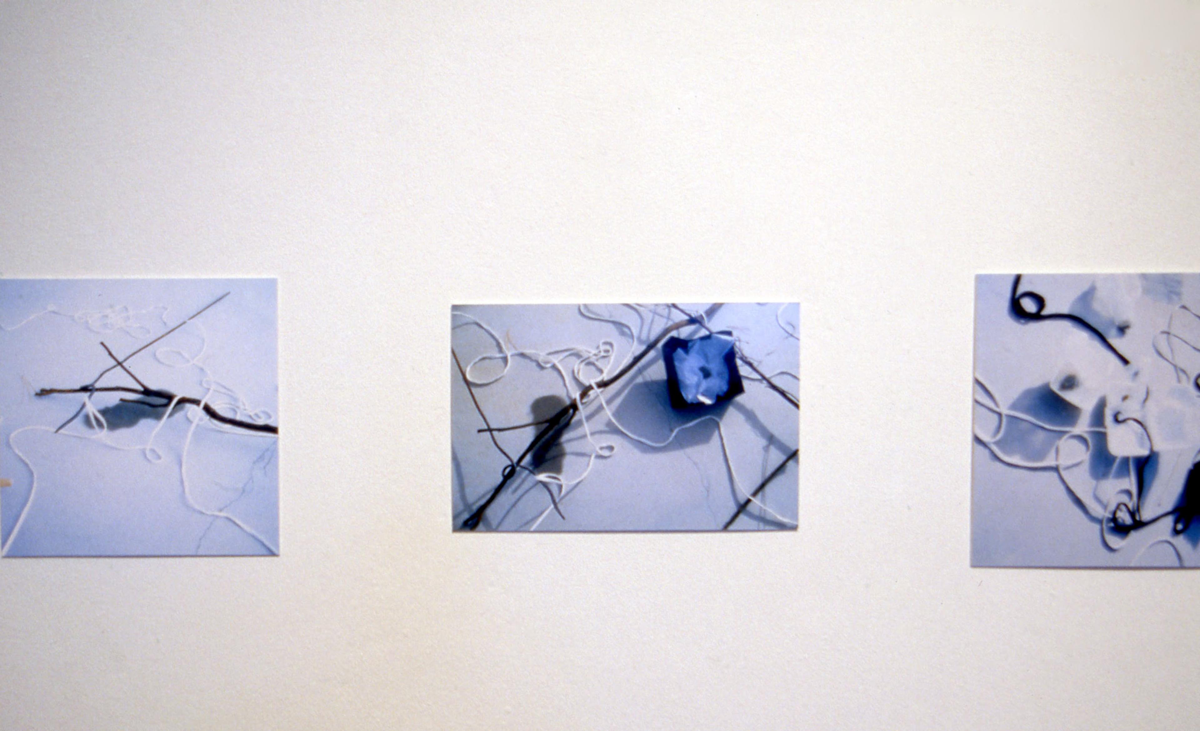 Installation view, Conduits and Containers: Leakage from the Text, Adam Art Gallery Te Pātaka Toi, Victoria University of Wellington, 2002