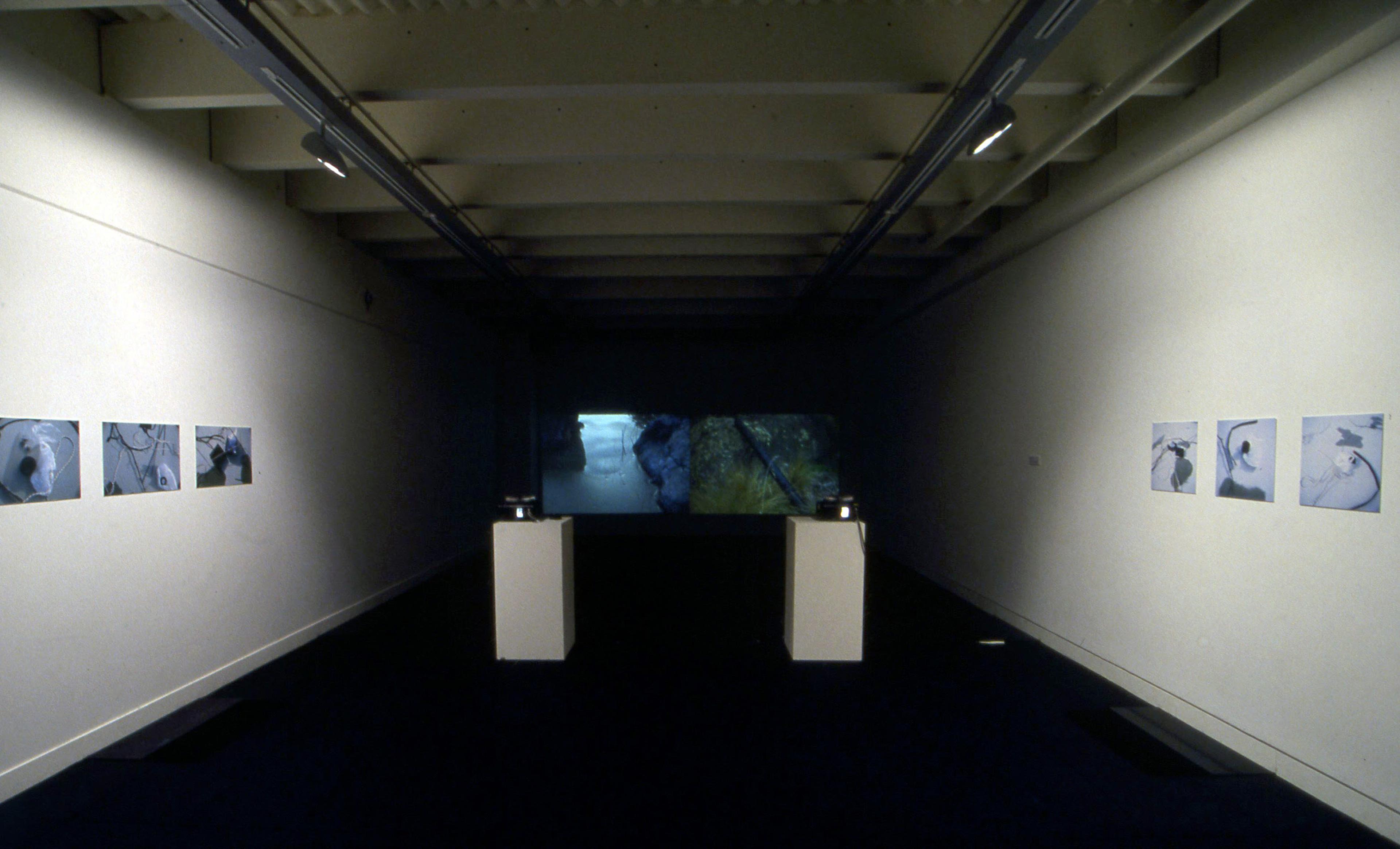 Installation view, Conduits and Containers: Leakage from the Text, Adam Art Gallery Te Pātaka Toi, Victoria University of Wellington, 2002