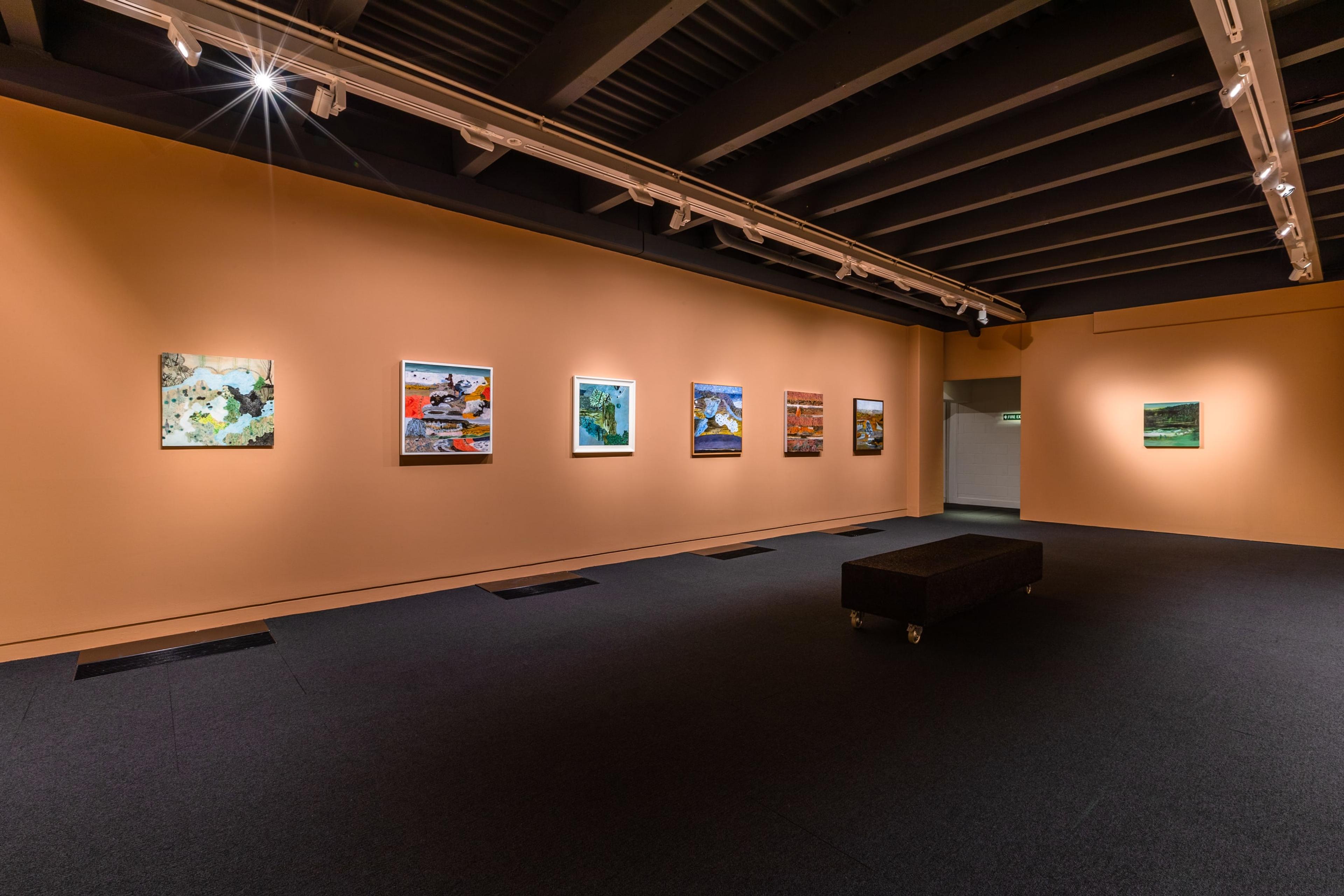 Installation view, Barbara Tuck – Delirium Crossing, Te Pātaka Toi Adam Art Gallery, Wellington, Victoria University of Wellington. Photo by Ted Whitaker.