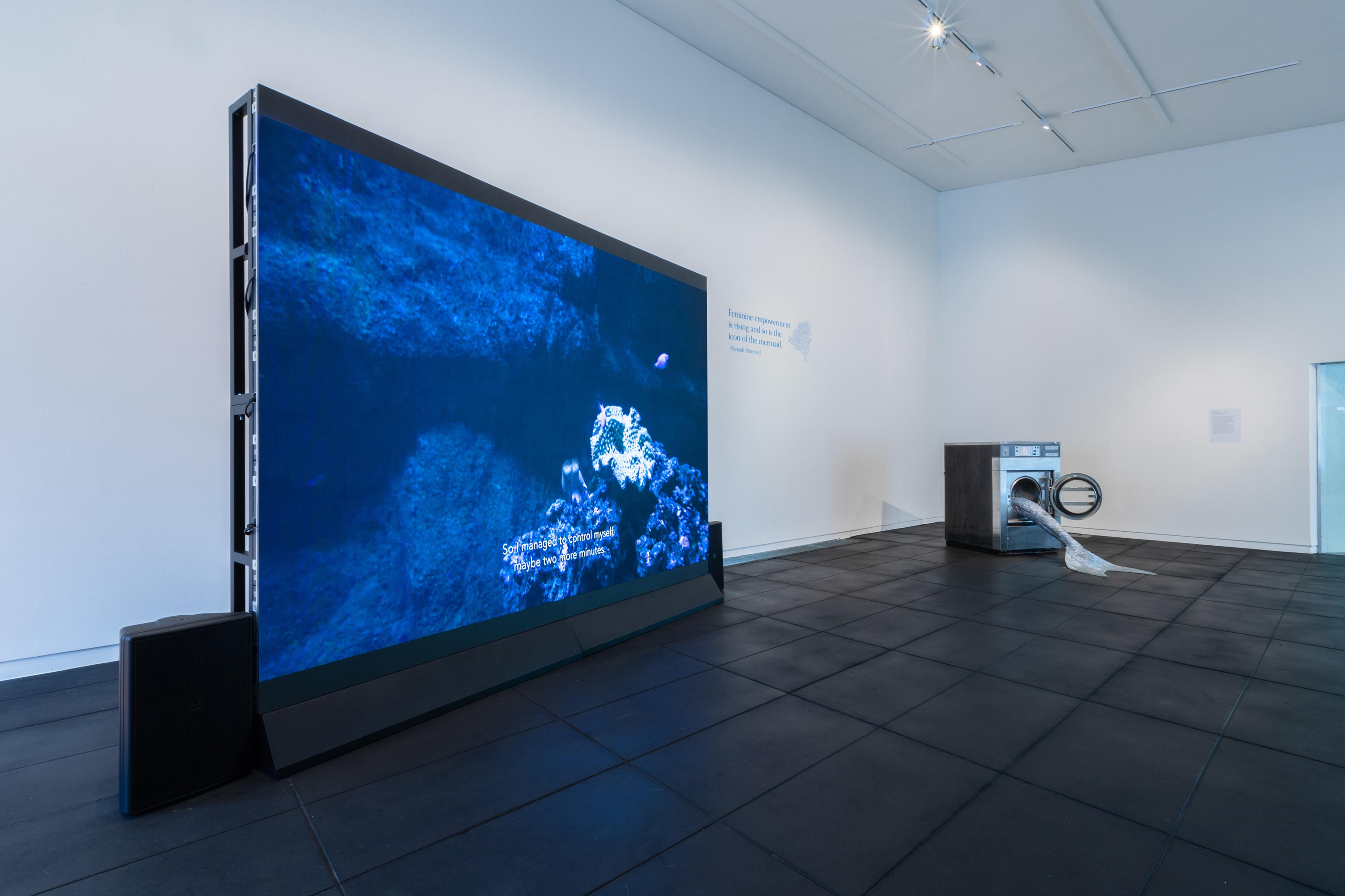 Lena Maria Thüring, Garden de la Paix, 2011, HD video, single channel, 16:9, colour, sound, 18 mins 47 secs; Olivia Erlanger, Pergusa (Gris), 2022, silicone and paint, commercial washing machine, courtesy of the artist and DM Office, New York. Installation view, Megan Dunn: The Mermaid Chronicles, Te Pātaka Toi Adam Art Gallery, Te Herenga Waka Victoria University of Wellington, 2022. Photo: Ted Whitaker