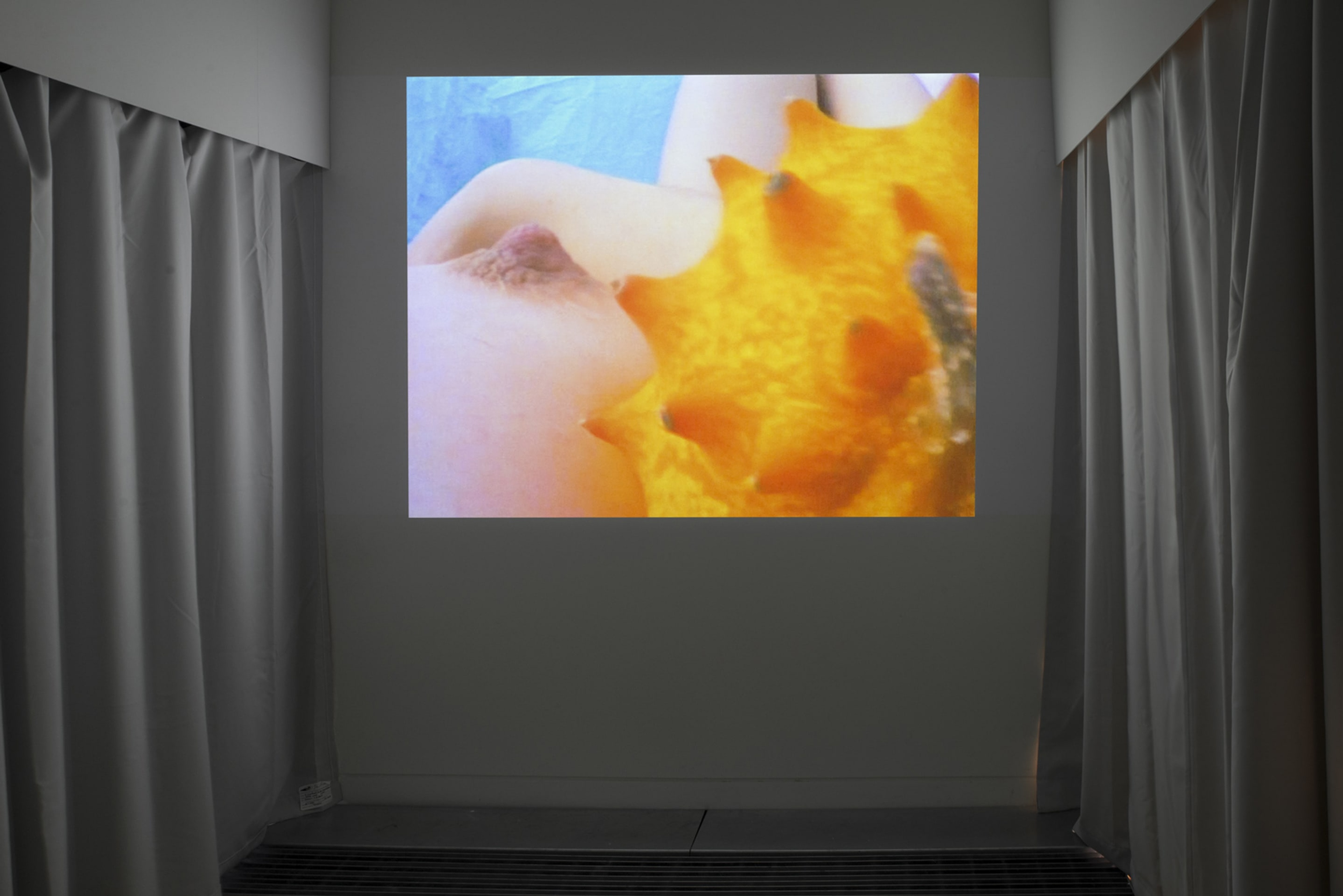 Pipilotti Rist, Pickleporno, 1992, single-channel video, 12min 0 sec, Courtesy of videoart.ch, Zofingen, Switzerland, on view in Acting Out at Adam Art Gallery Te Pātaka Toi, photo: Shaun Matthews