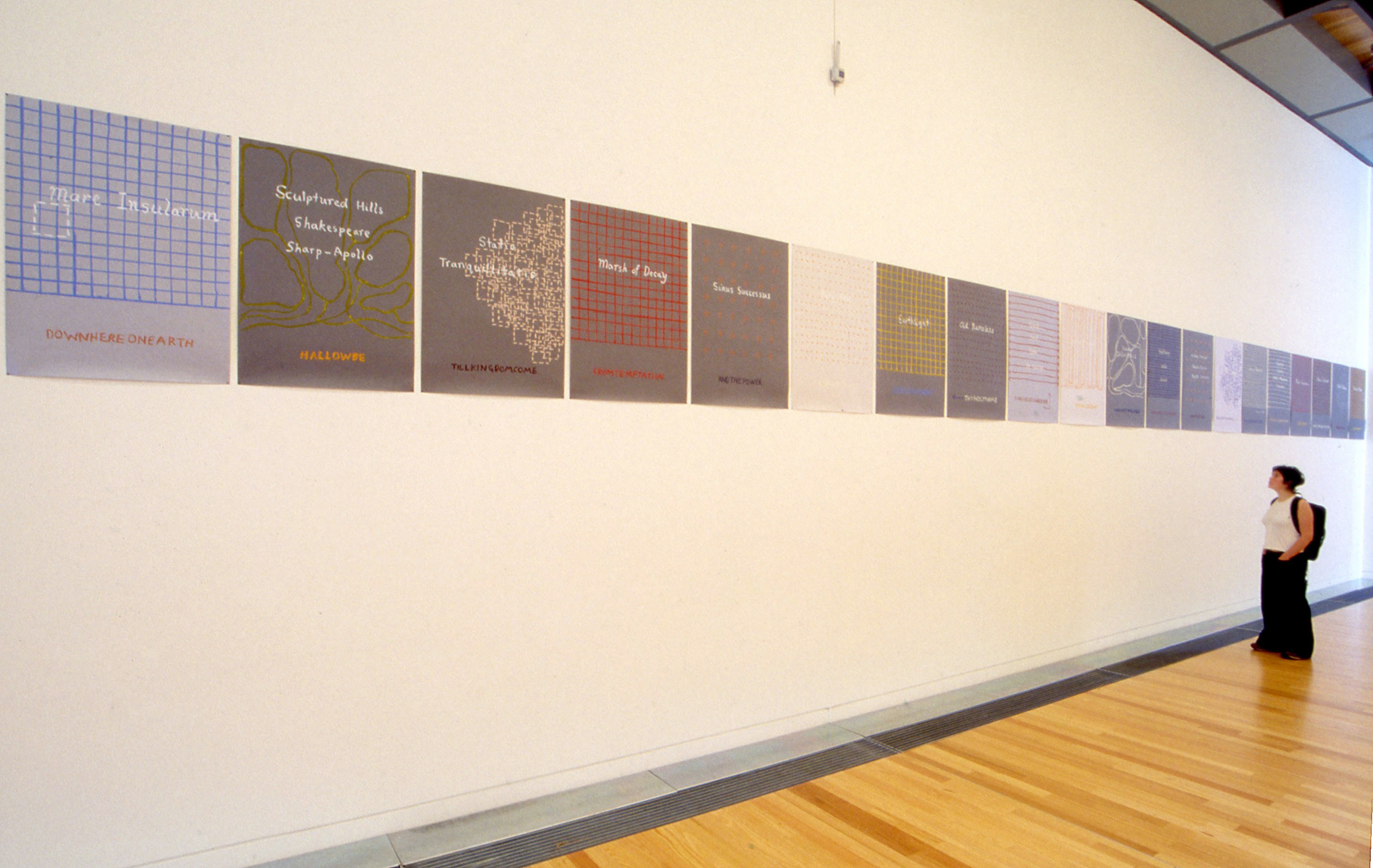 Installation view, John Reynolds: HEVN not to scale, Adam Art Gallery Te Pātaka Toi, Victoria University of Wellington, 2002